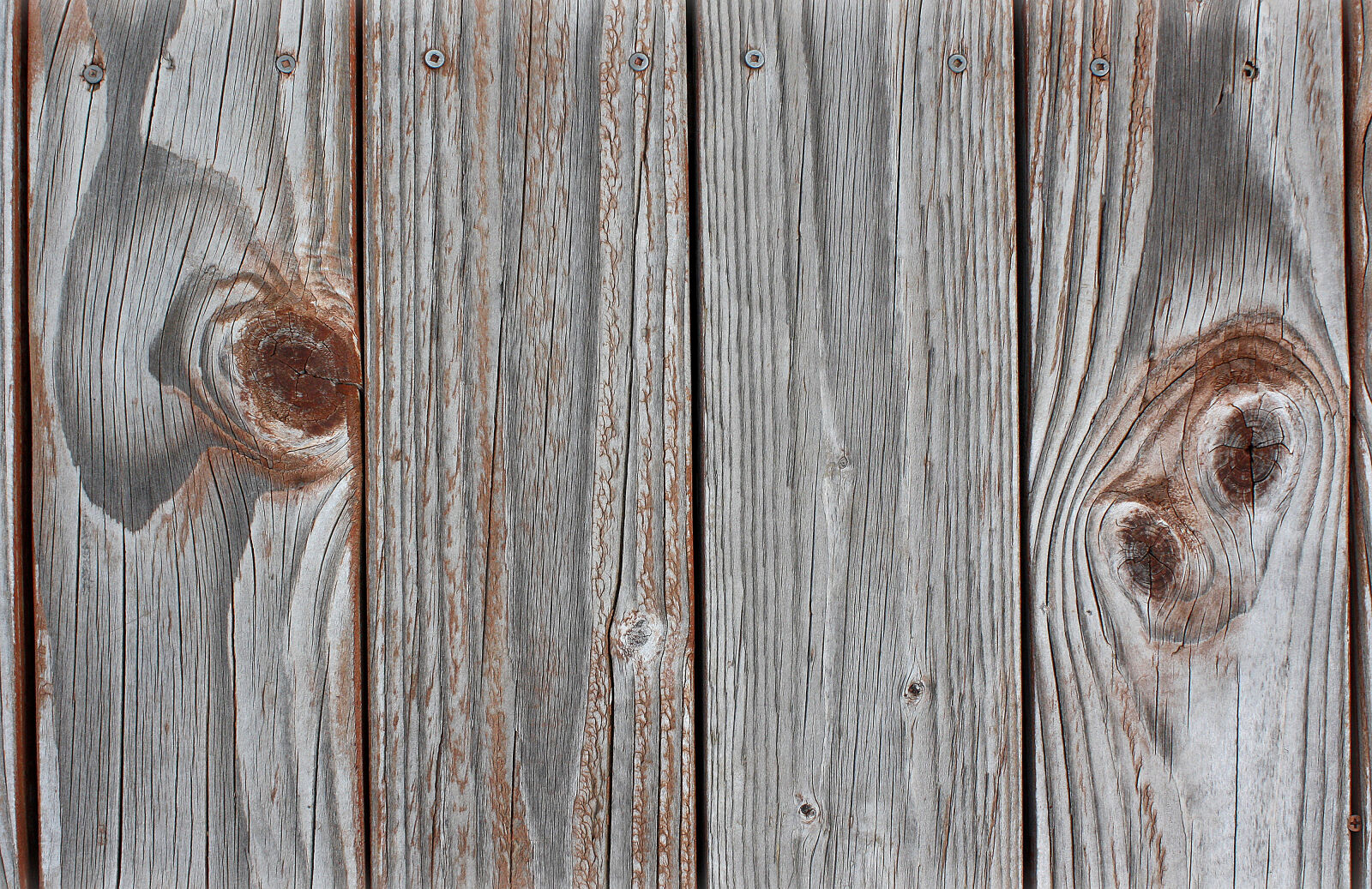 Canon EOS 450D (EOS Rebel XSi / EOS Kiss X2) sample photo. Background, plank, texture, wood photography
