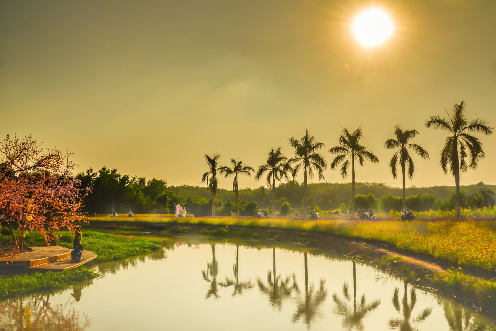 Nikon D5100 sample photo. Home, country, scenery photography