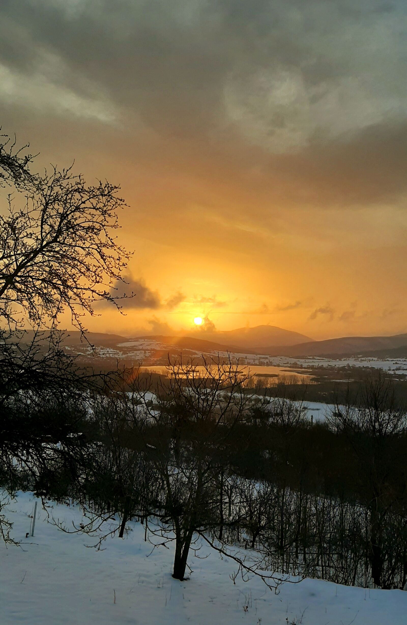 Samsung Galaxy A50 sample photo. Bulgaria, snow, nature photography