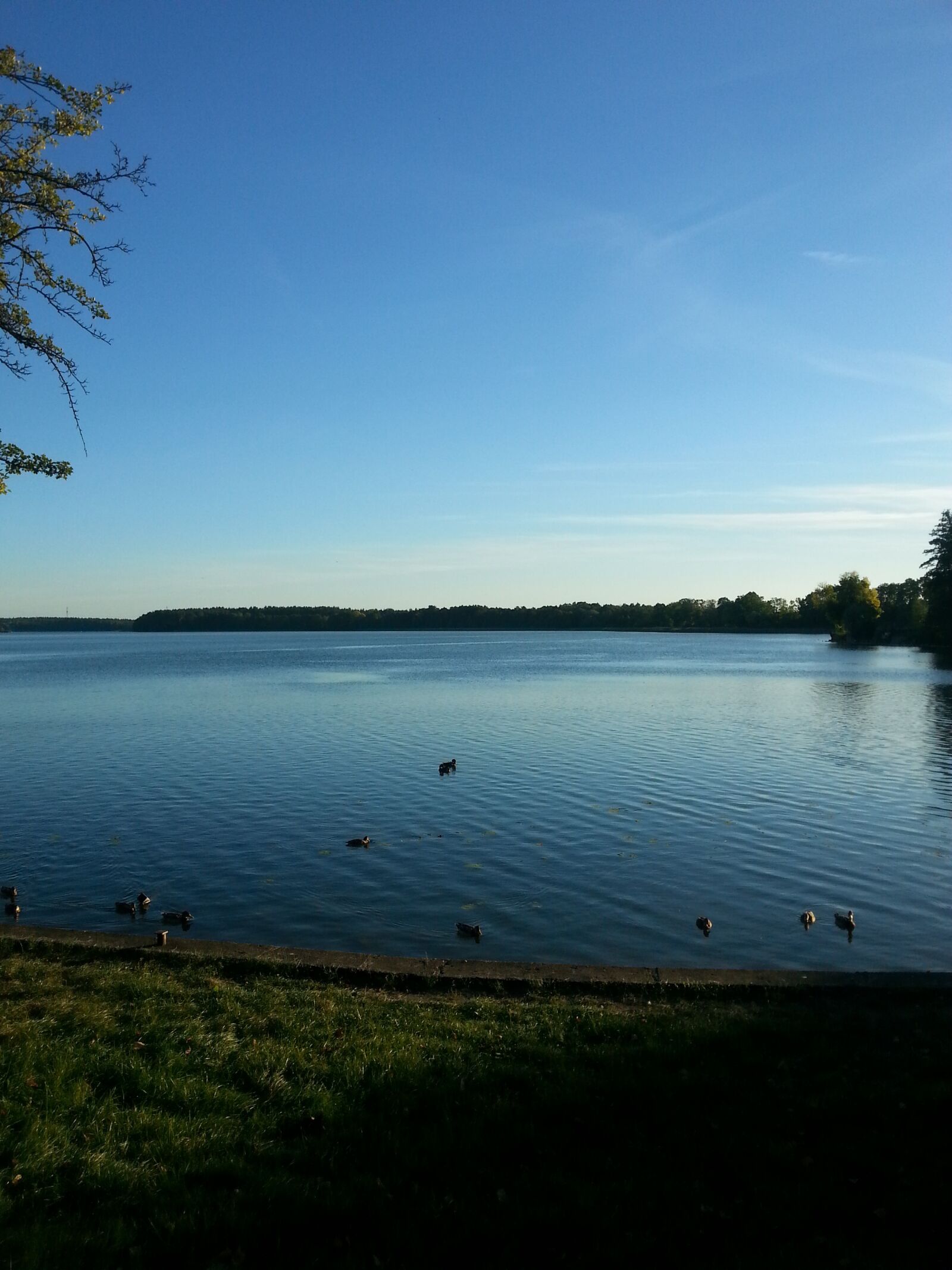 Samsung Galaxy S3 sample photo. The silence, lake, water photography