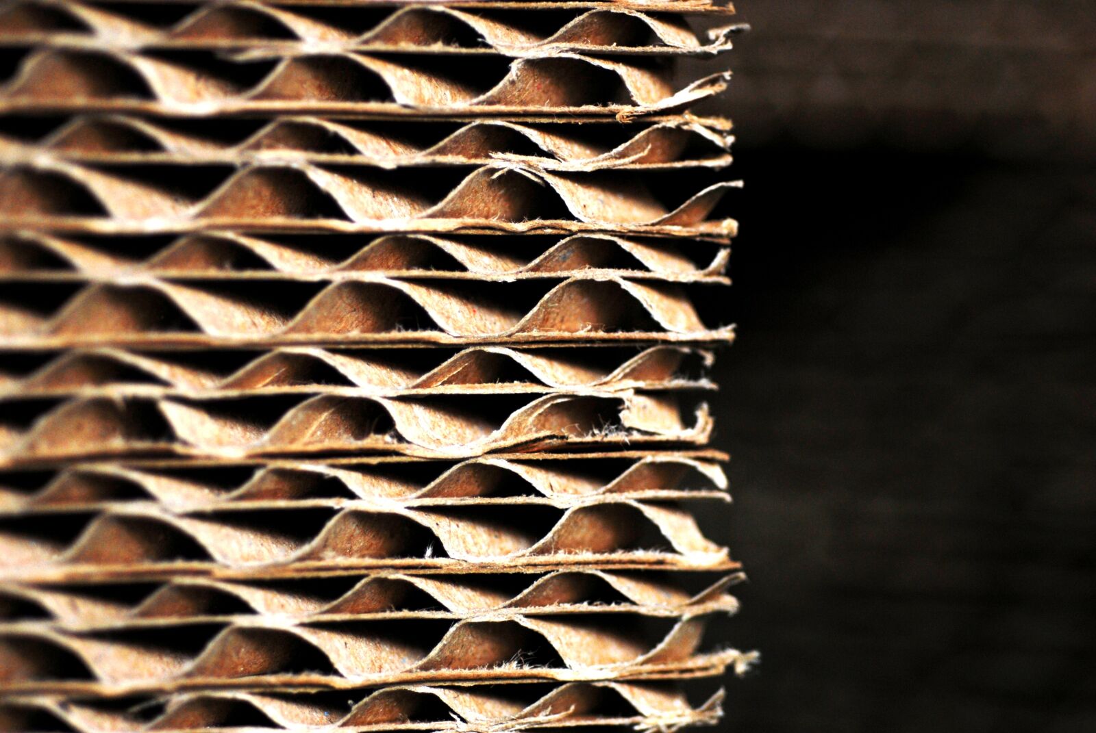 Nikon D200 sample photo. Paper, carton, texture photography