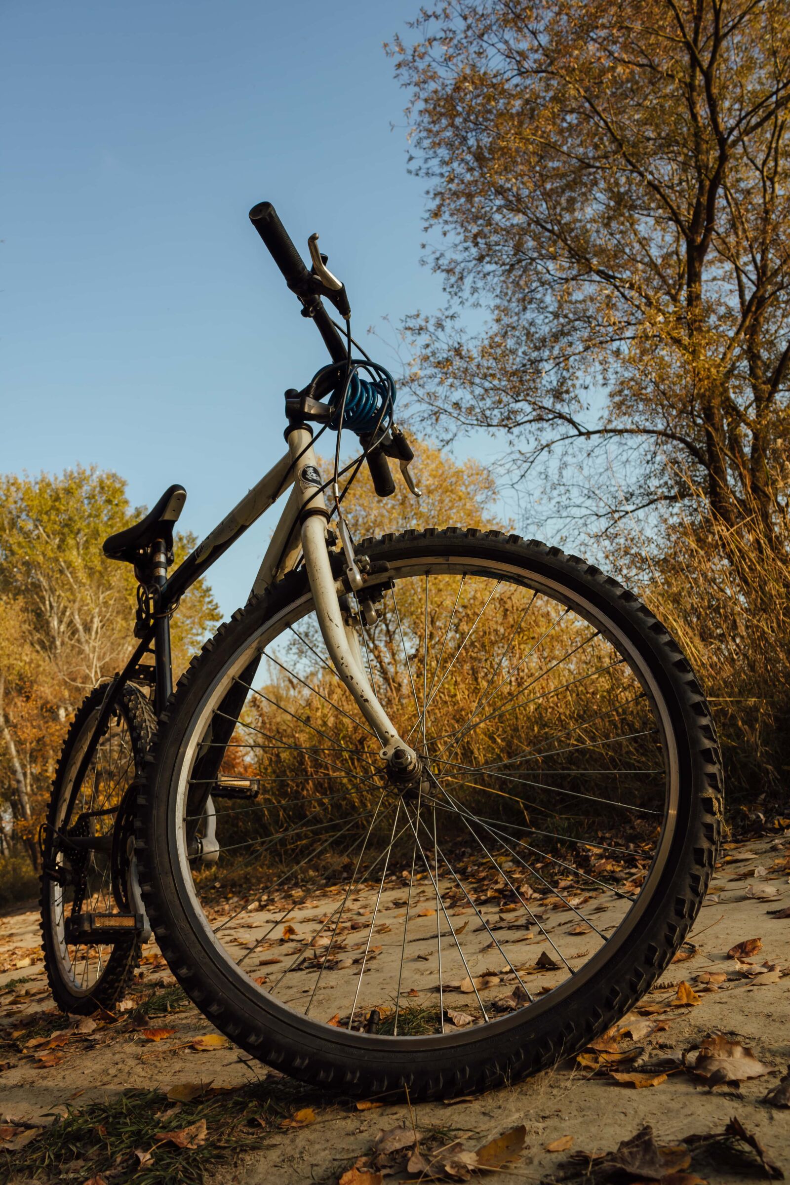 Canon EF-S 18-55mm F3.5-5.6 IS sample photo. Mountain bike, bicycle, forest photography