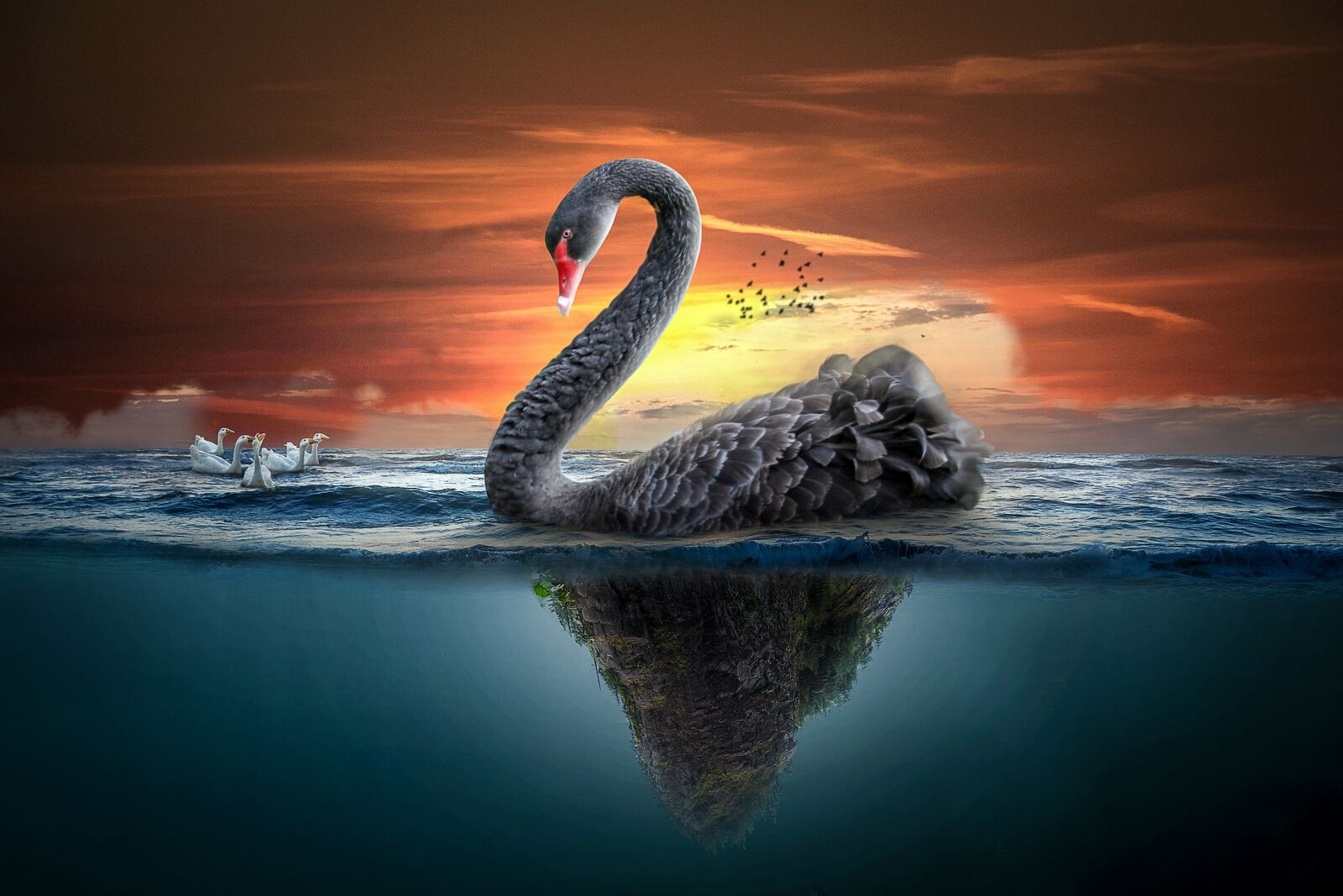 Nikon D60 sample photo. Manipulation, landscape, swan photography