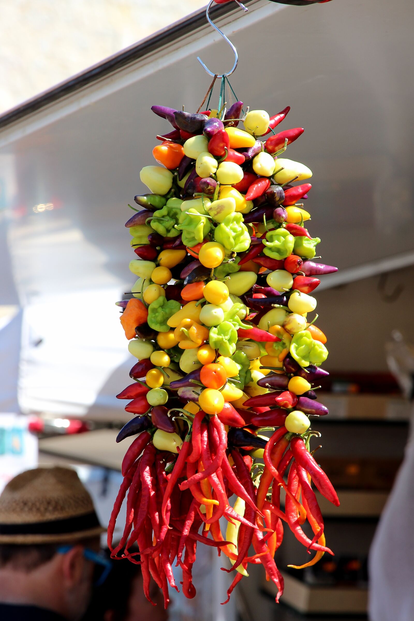 Canon EOS 600D (Rebel EOS T3i / EOS Kiss X5) sample photo. Chilli, sharp, paprika photography