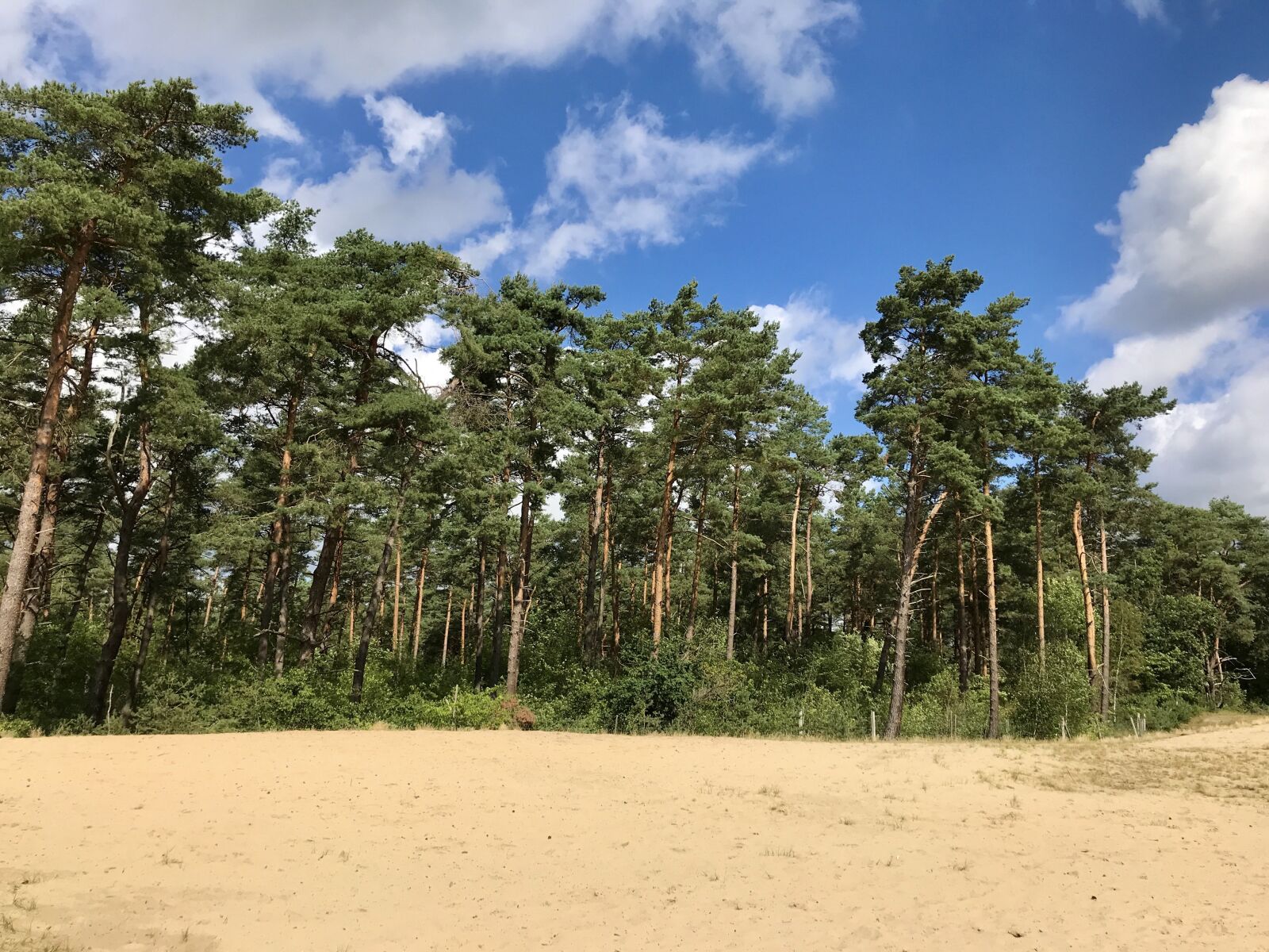 iPhone 7 back camera 3.99mm f/1.8 sample photo. Holmer sand mountains, sand photography
