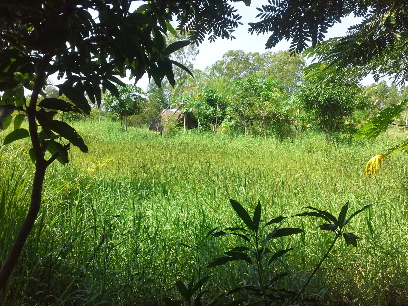 Samsung Galaxy Note 10.1 sample photo