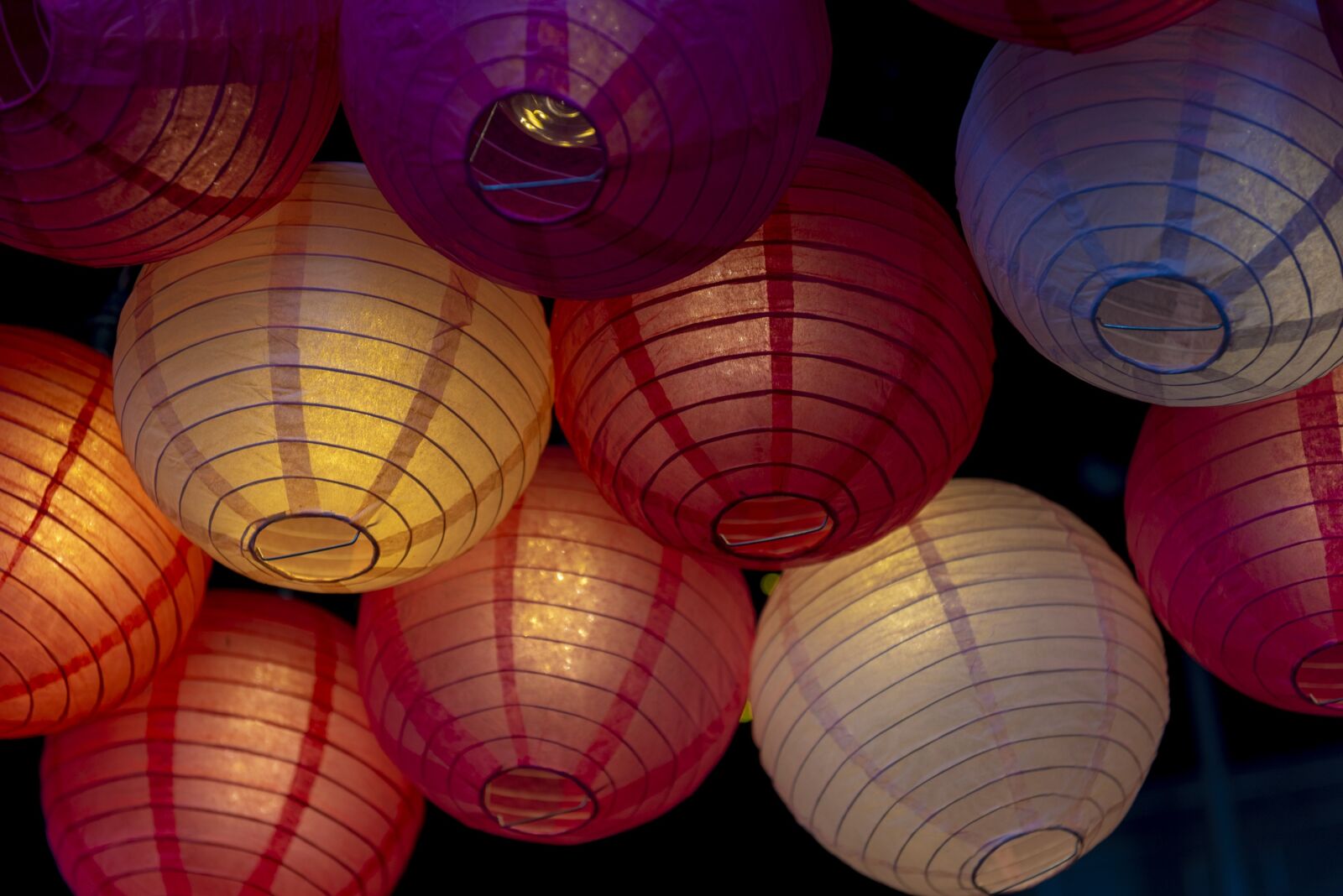 Nikon D750 sample photo. Lights, paper, round photography