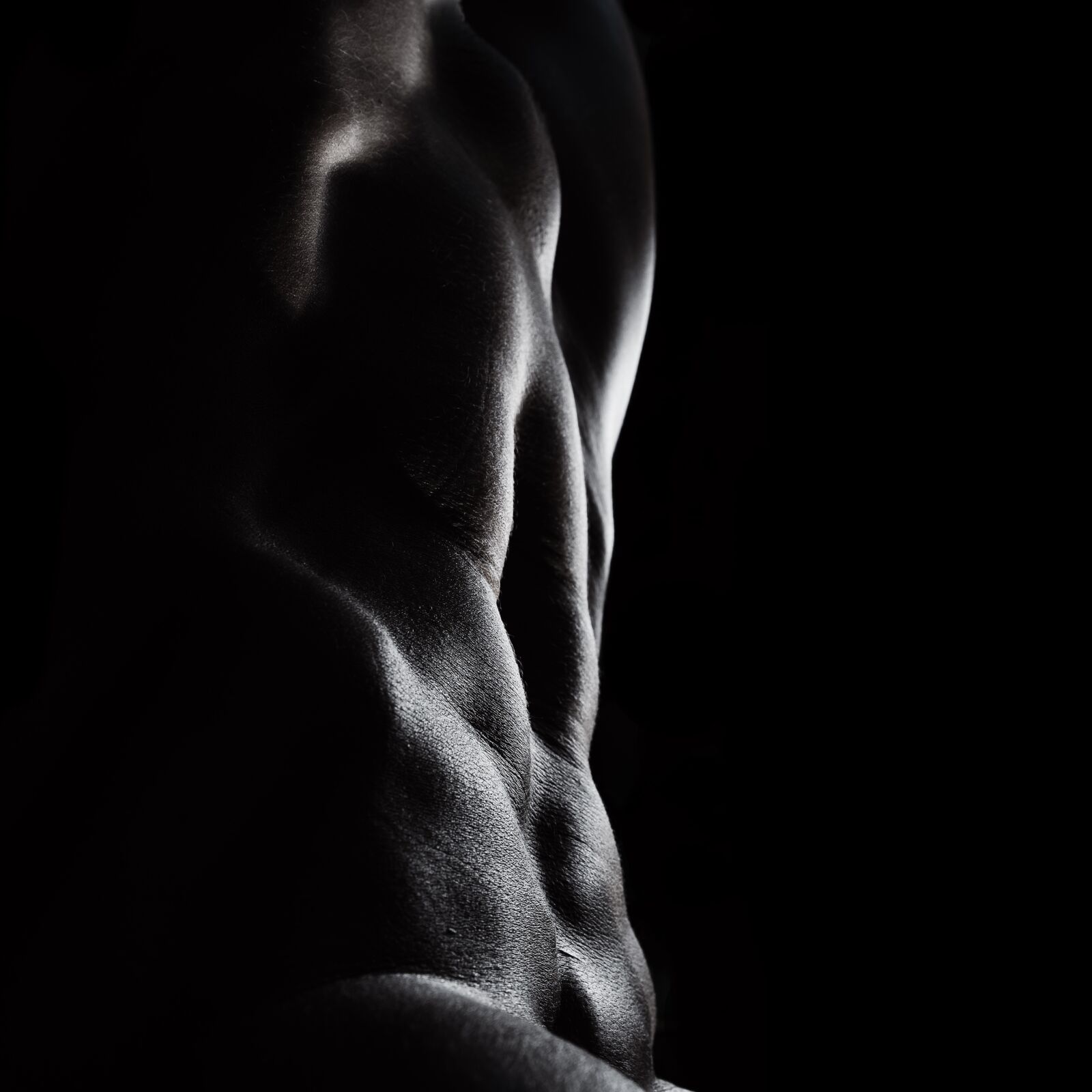 Nikon D610 sample photo. Abs, nude, bodyscape photography