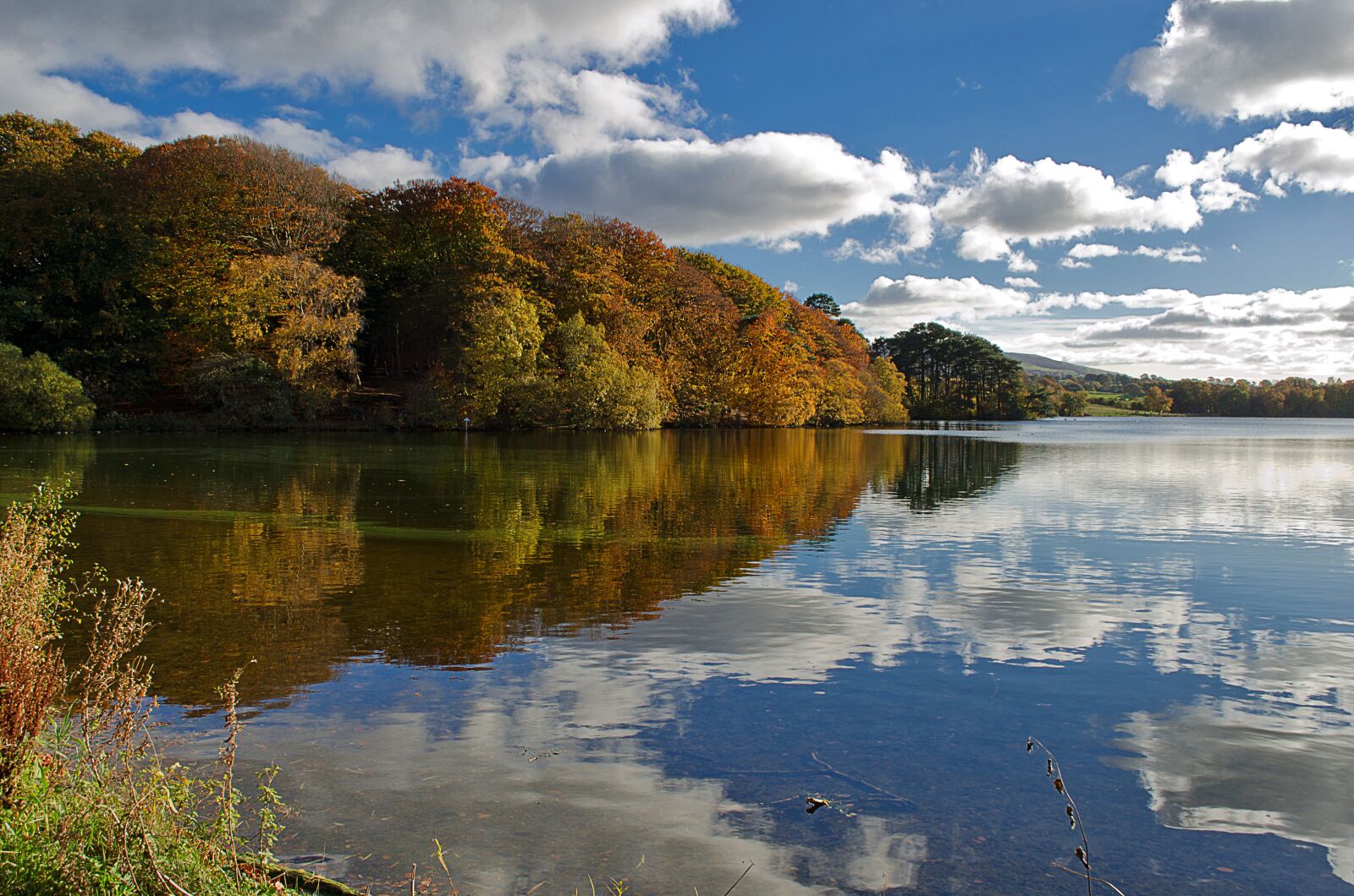 Nikon D7000 sample photo. Nature, lake, scenery photography