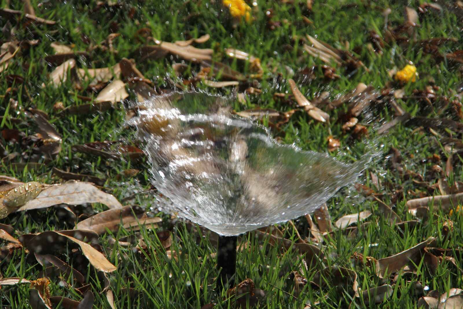 Canon EF-S 18-200mm F3.5-5.6 IS sample photo. Irrigator, garden, water photography