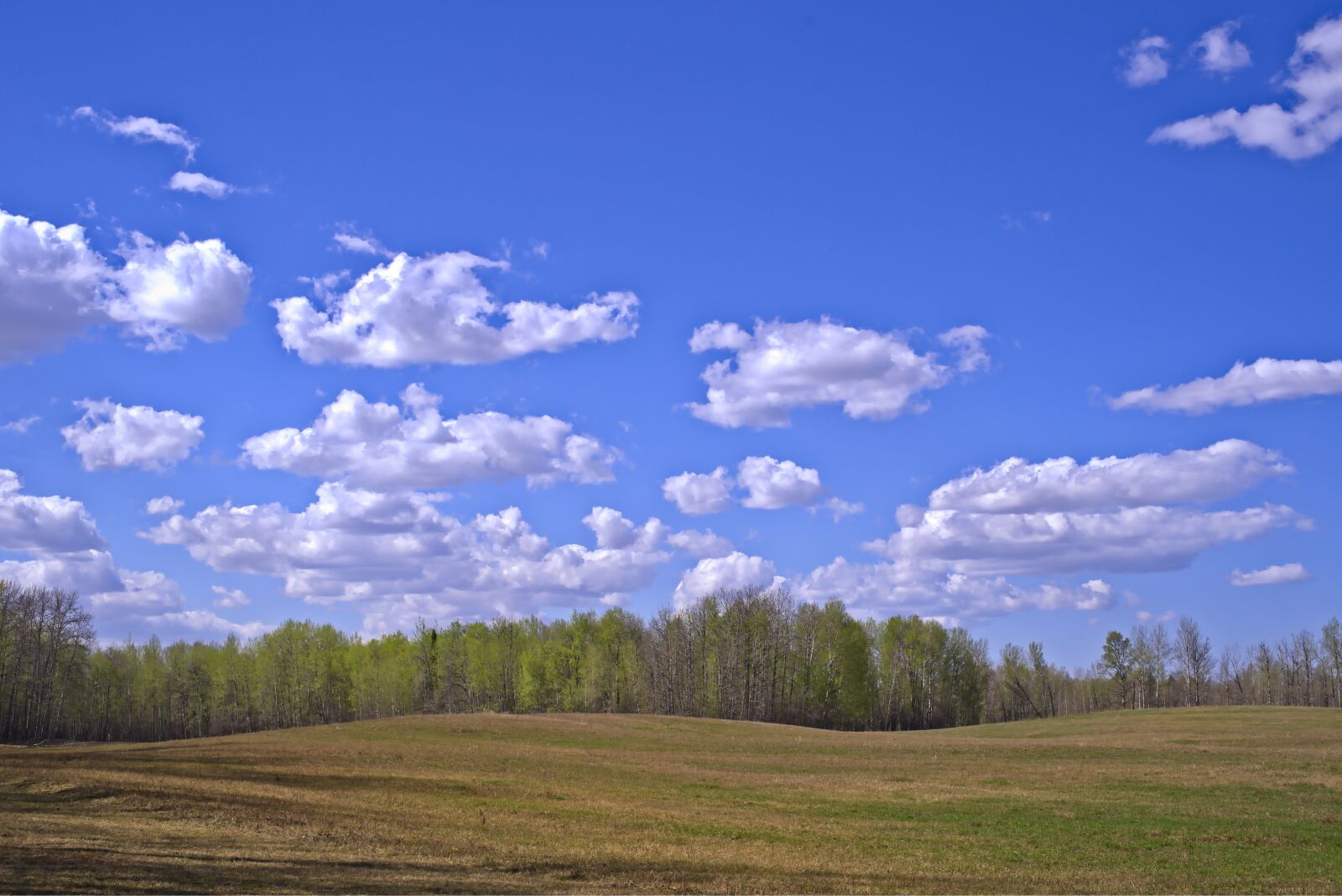 Sony a7 III sample photo. Spring, farm, sky photography