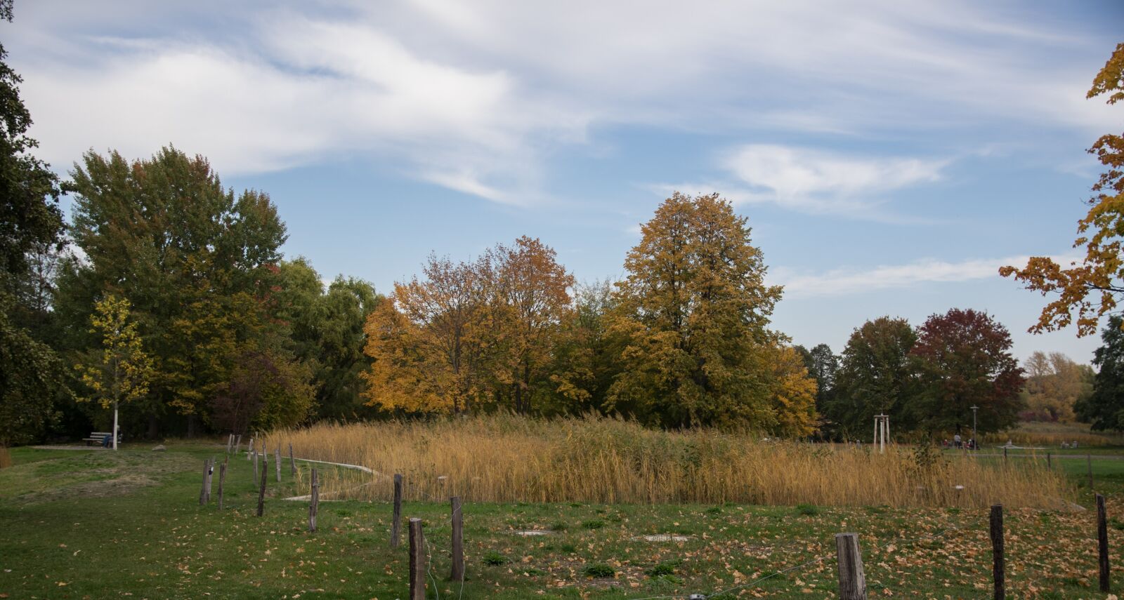 Pentax K-3 sample photo. Autumn, landscape, nature photography