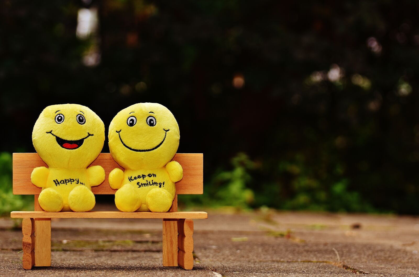 Nikon D7200 sample photo. Smilies, bank, sit photography