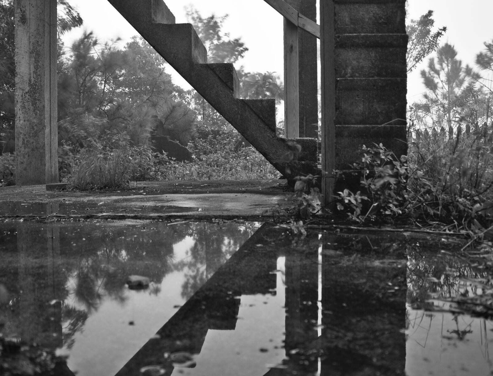Nikon D7200 sample photo. Stairs, black and white photography