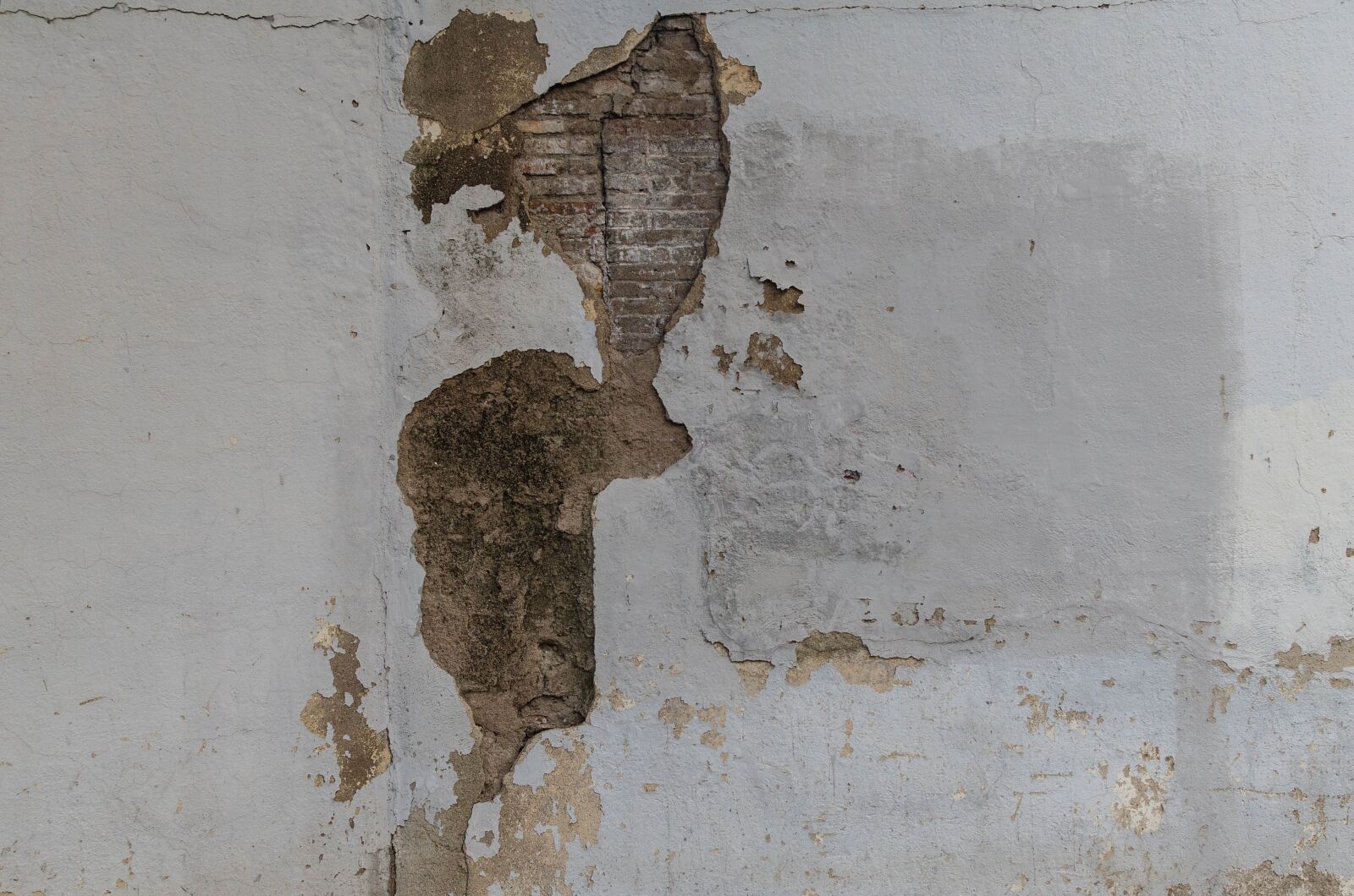 Nikon D5100 sample photo. Brick, wall, texture photography