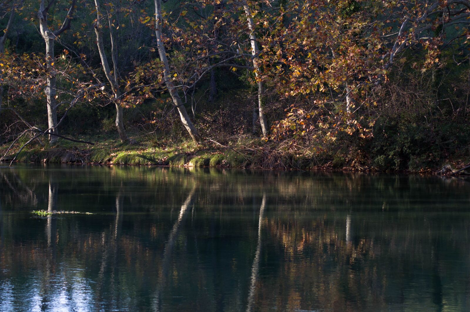 Pentax KP sample photo. Fall, lake, trees photography