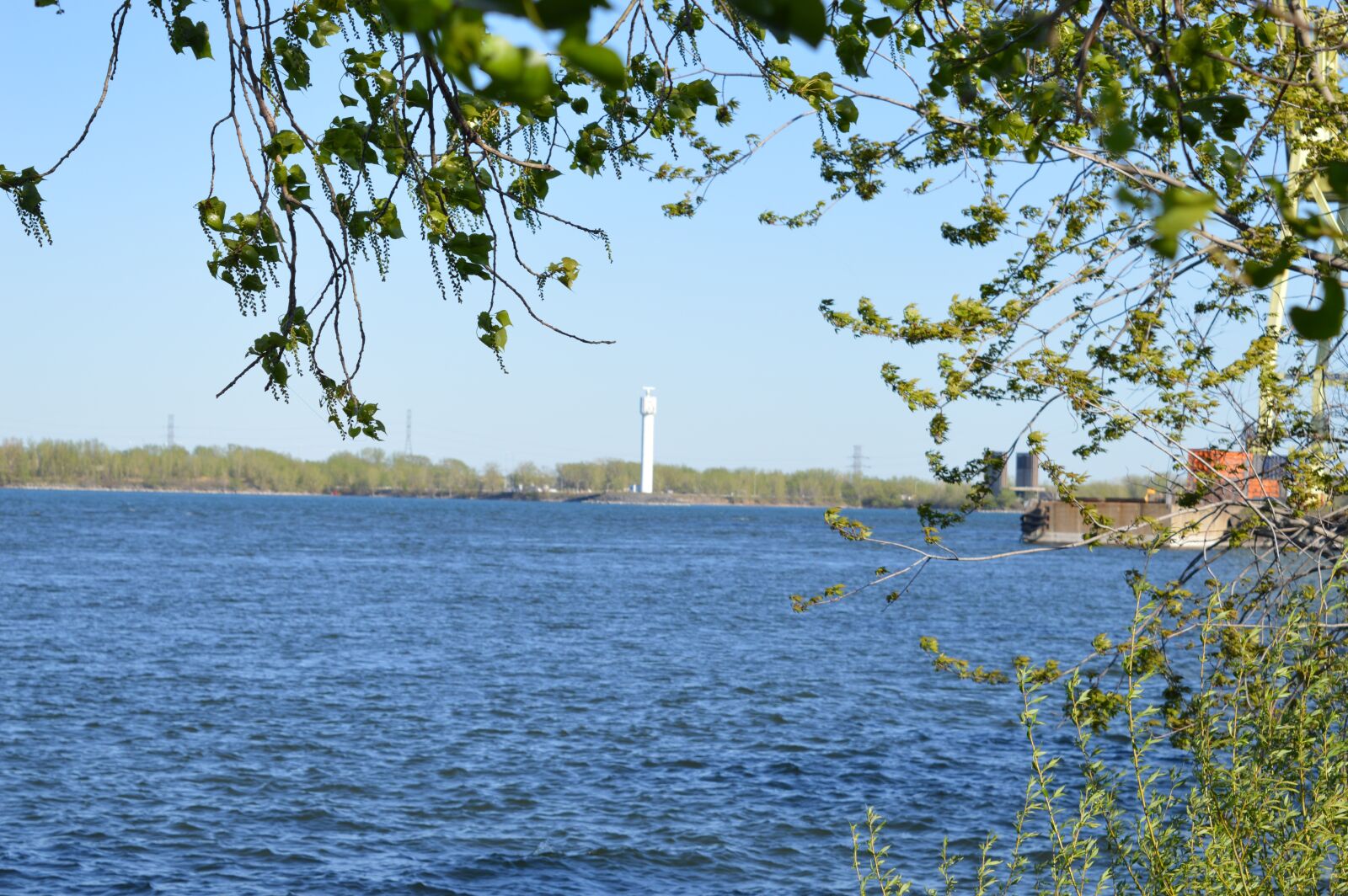 Nikon D3200 sample photo. Nature, ambience, atmospheric photography