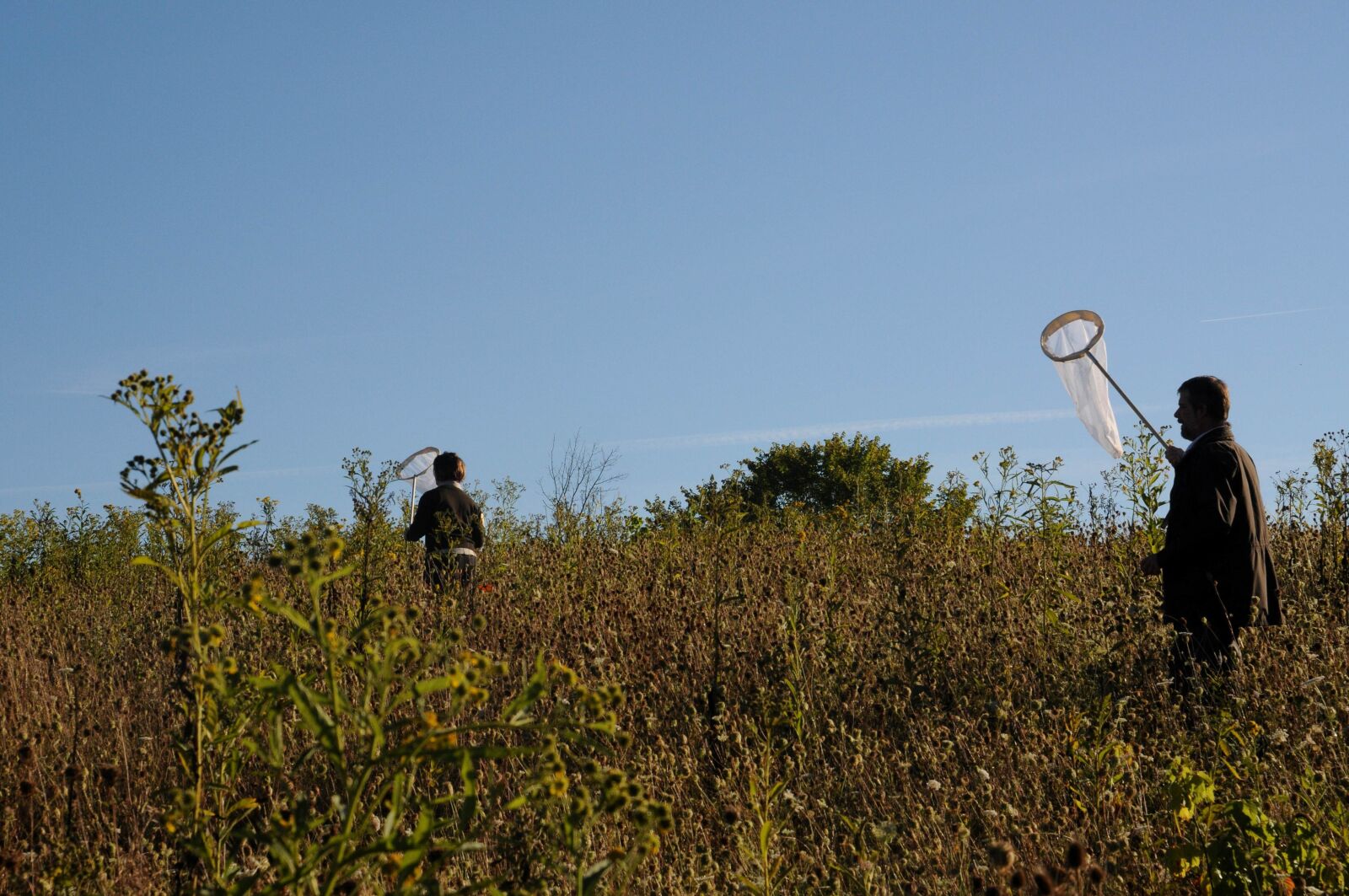 Nikon D300S sample photo. Biologists, search, monarch butterflies photography