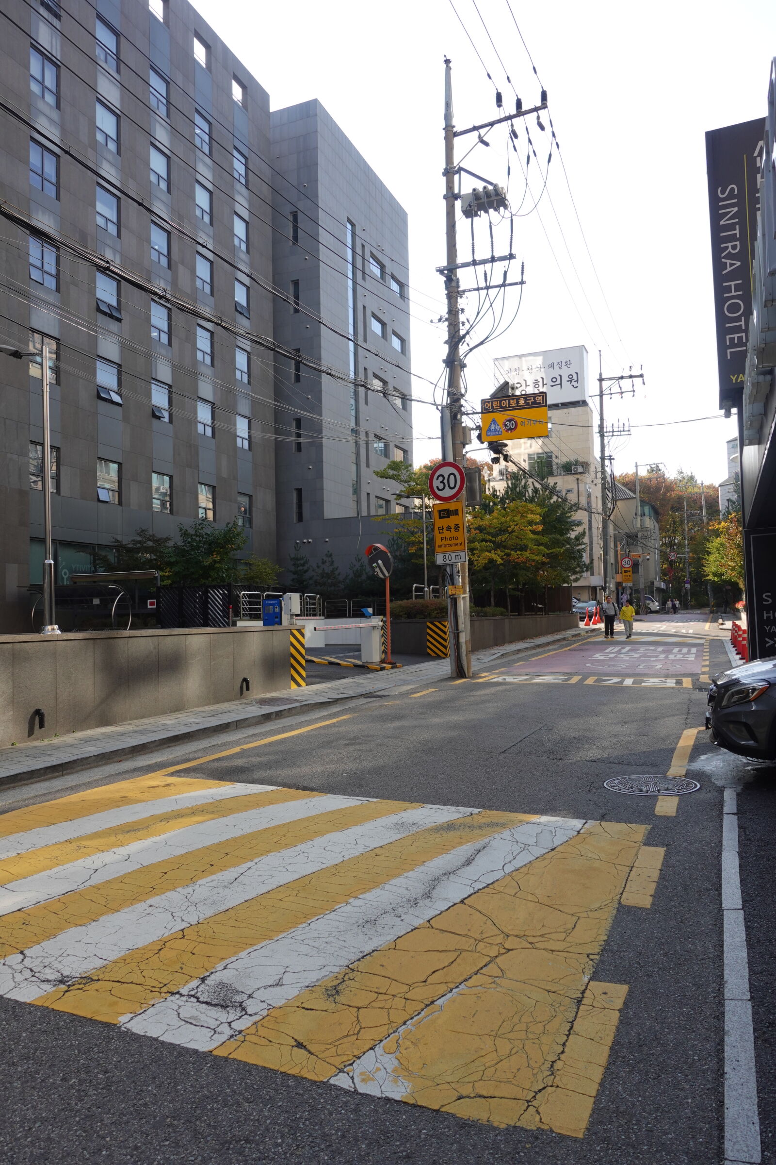 Sony ZV-1 sample photo
