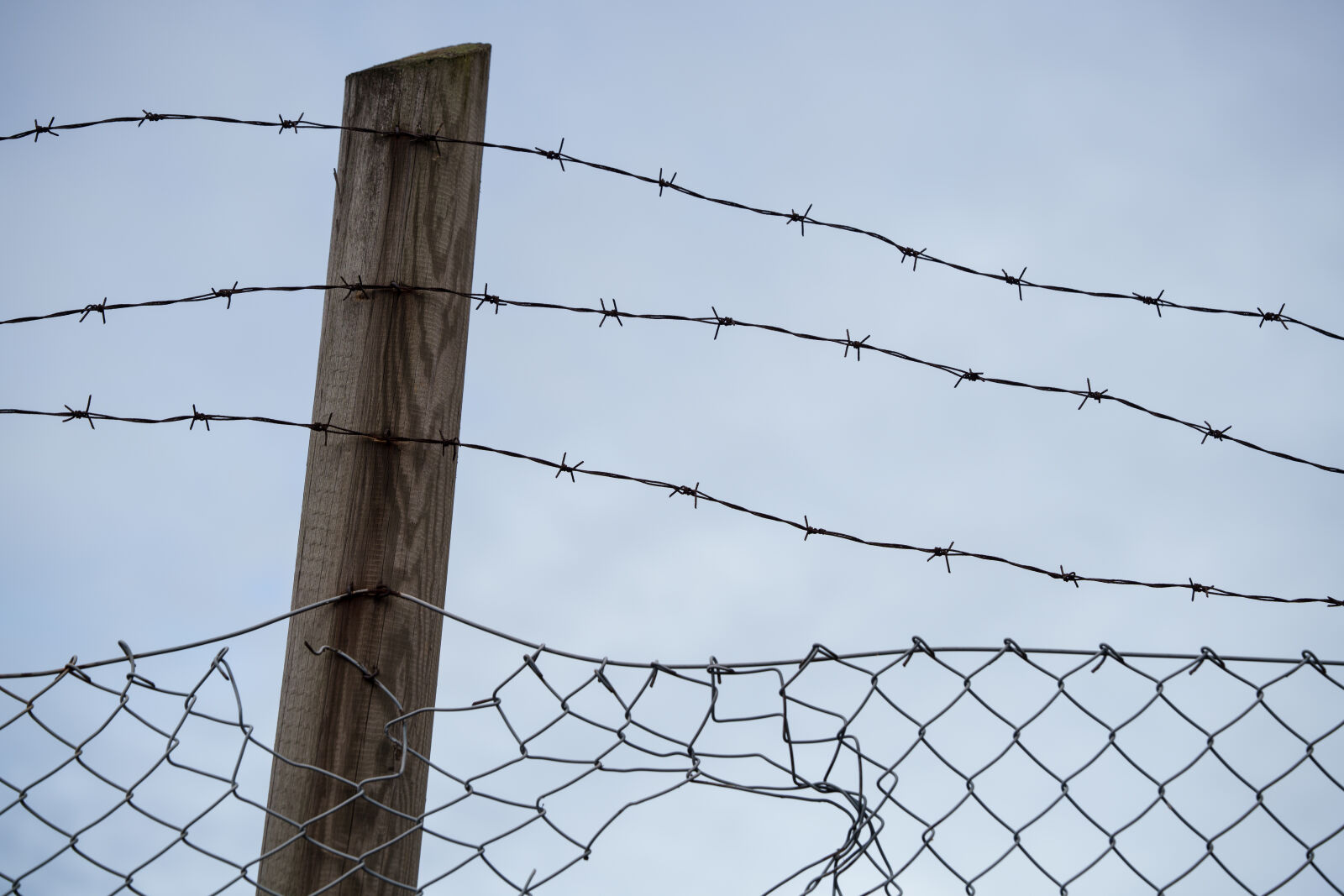 Tamron 70-180mm F2.8 Di III VC VXD G2 sample photo. Barbed wire fence photography