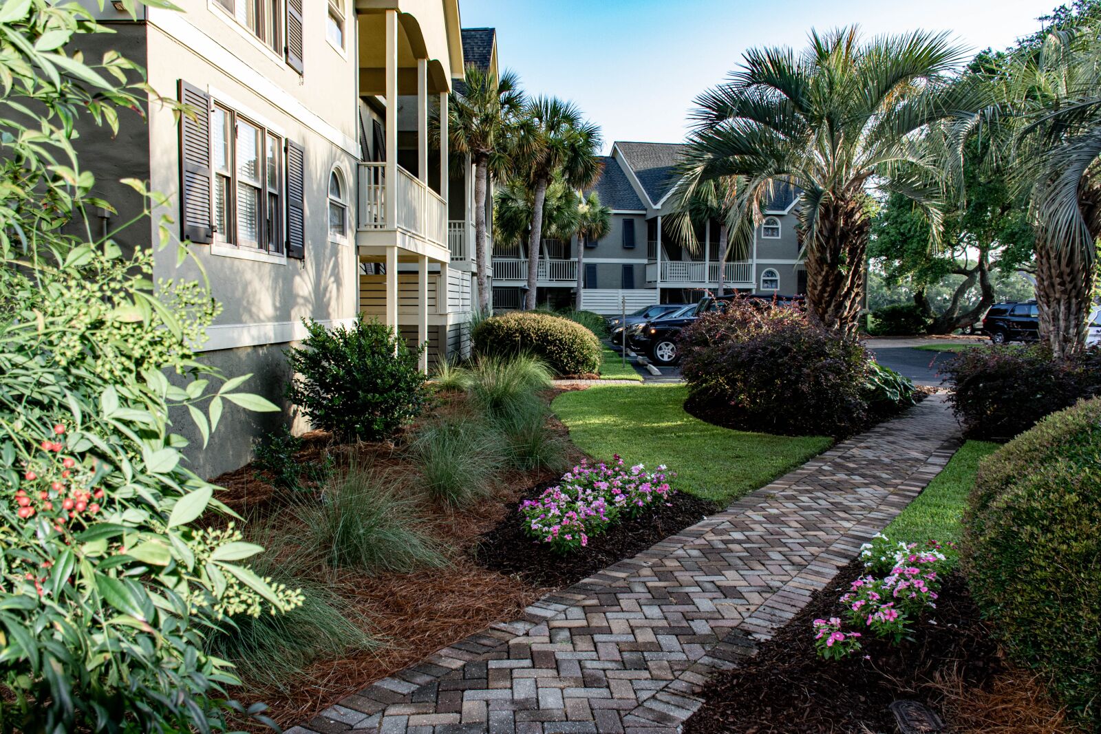Nikon D5300 sample photo. Garden, palm trees, vacation photography