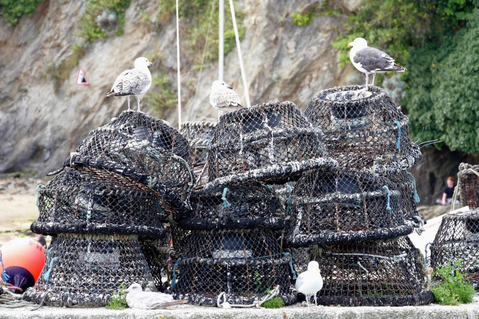 Panasonic Lumix DMC-FZ1000 sample photo. Fishing, nets, crabs photography