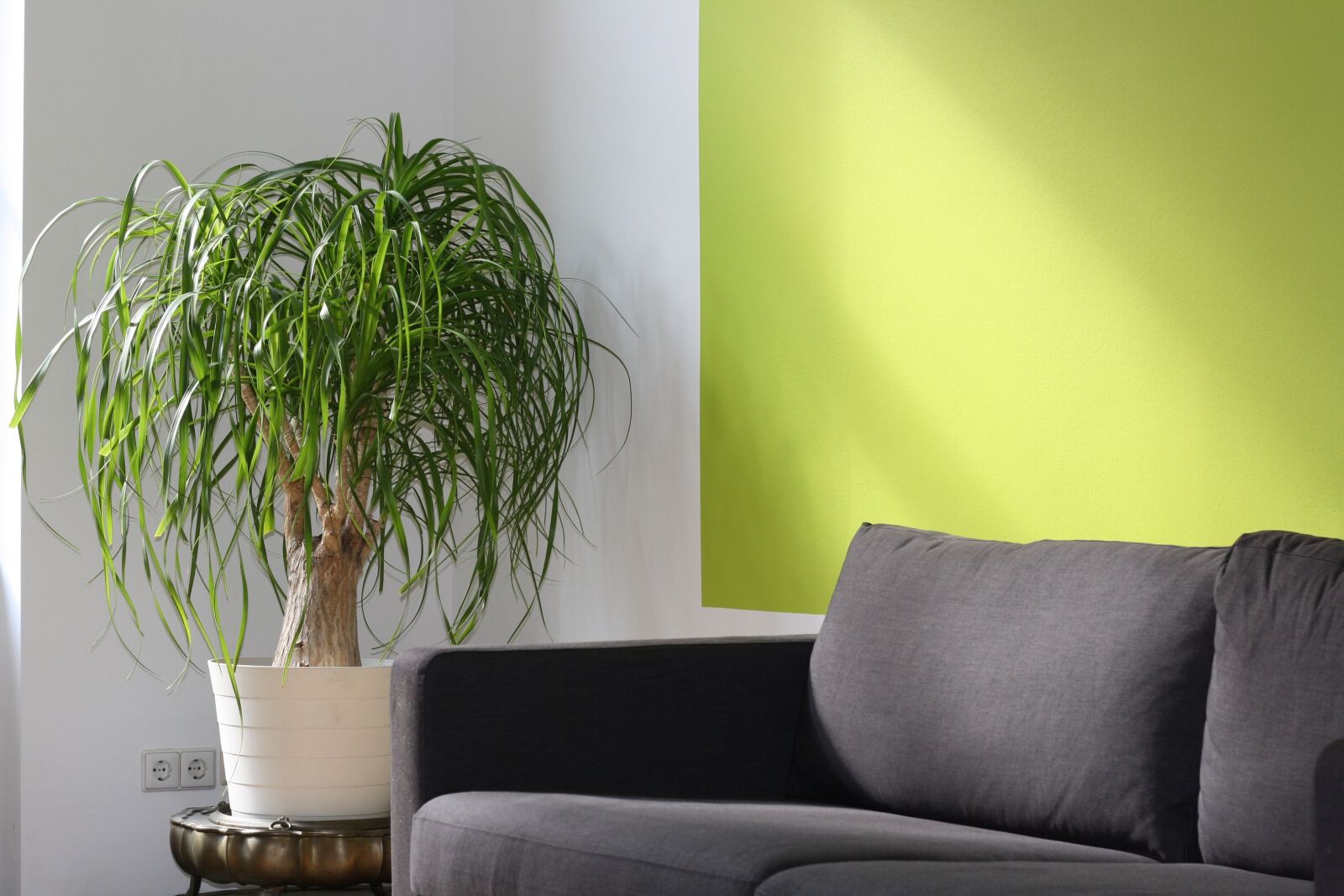 Canon EOS 1000D (EOS Digital Rebel XS / EOS Kiss F) sample photo. Office, coaching, sofa photography
