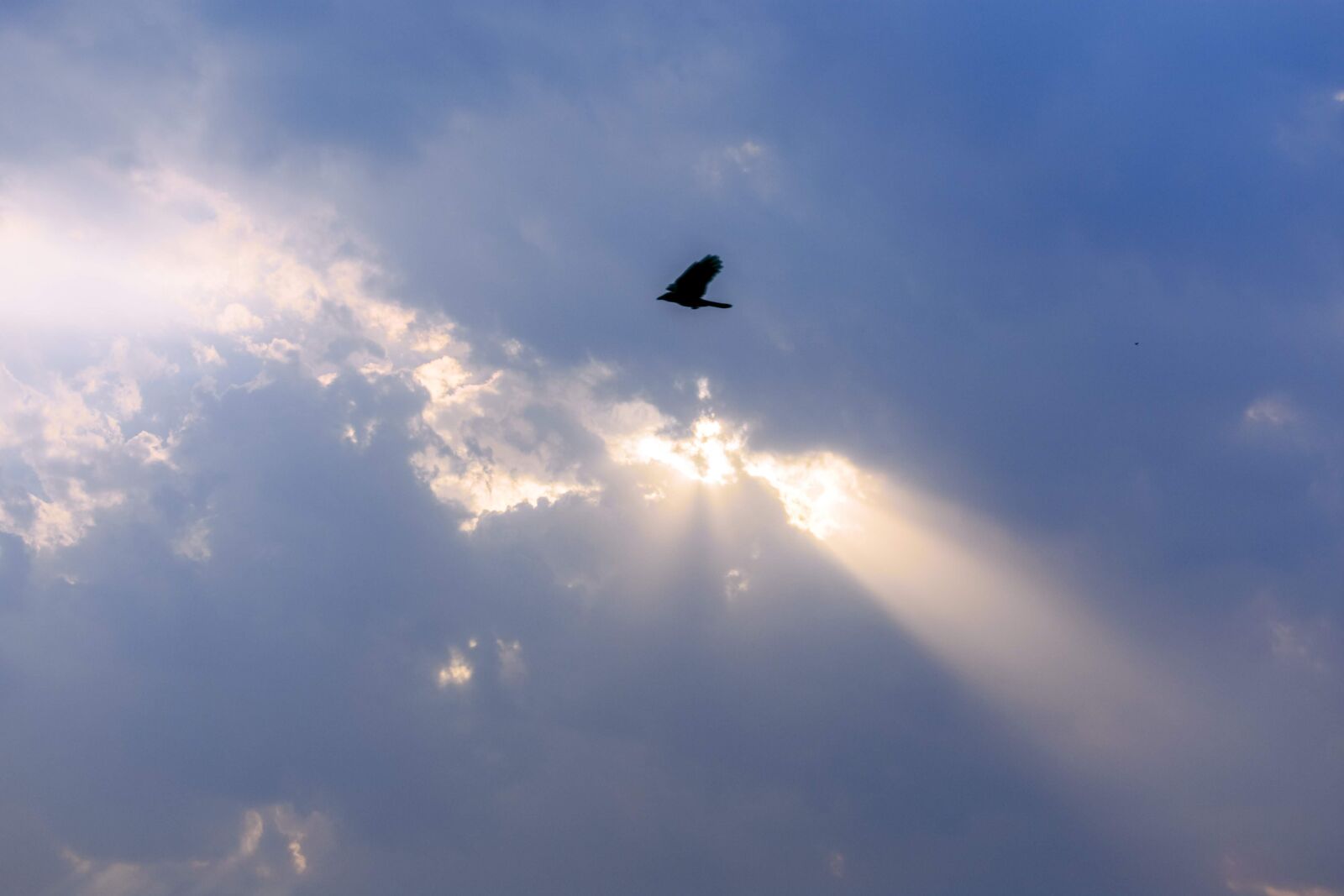 Nikon D3400 sample photo. Skyline, sky, nature photography