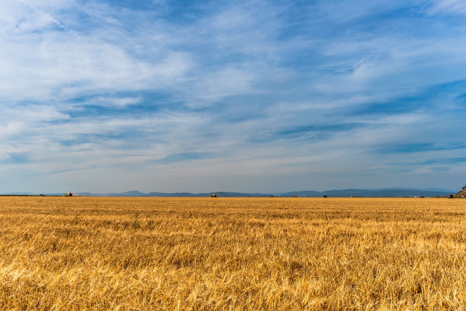 Nikon D750 sample photo. Field, agriculture, harvest photography