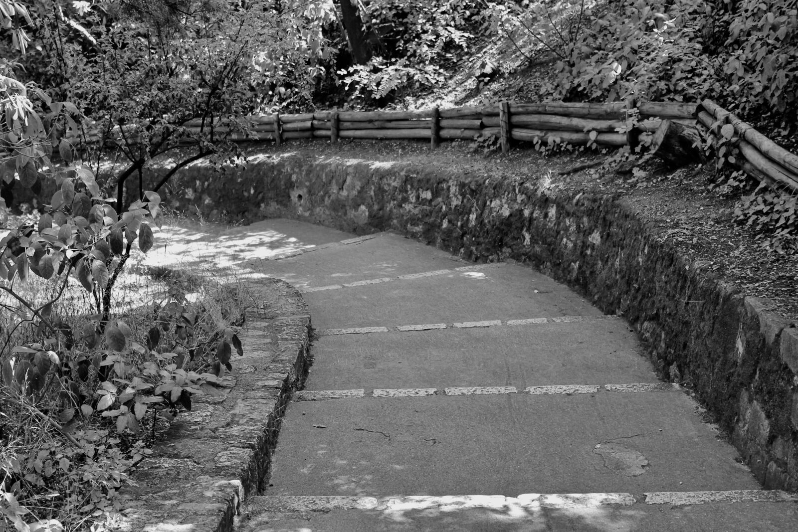 Canon EOS 1100D (EOS Rebel T3 / EOS Kiss X50) sample photo. Black and white, path photography