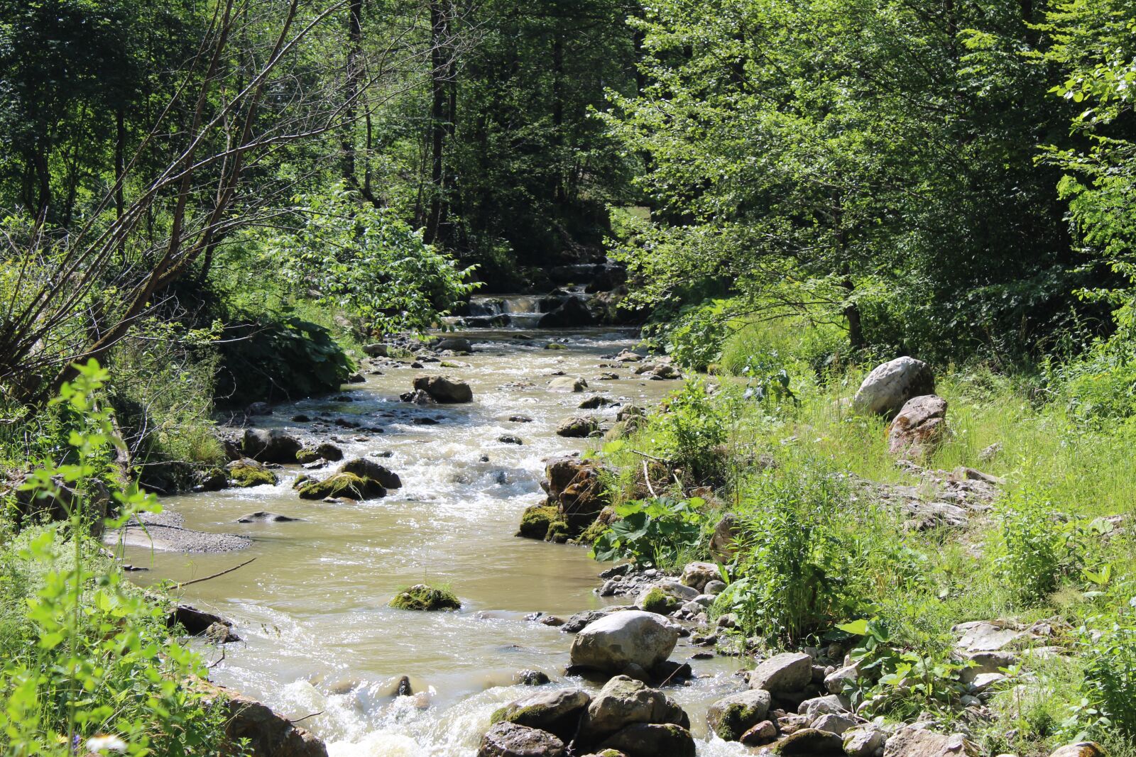Canon EOS 4000D (EOS Rebel T100 / EOS 3000D) sample photo. River, mountain, rocks photography
