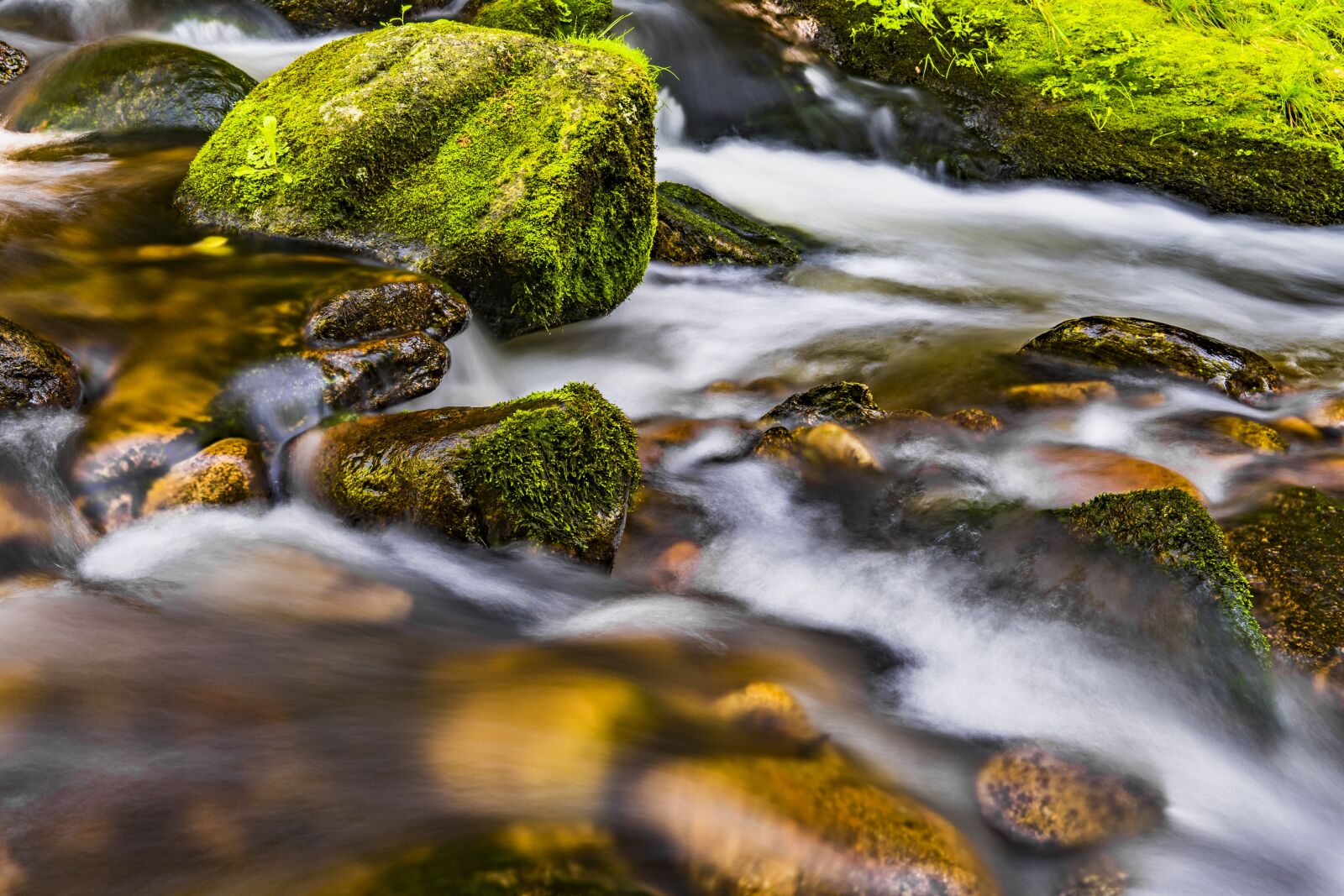 Sony a6300 + Sigma 30mm F2.8 EX DN sample photo. Water, river, nature photography