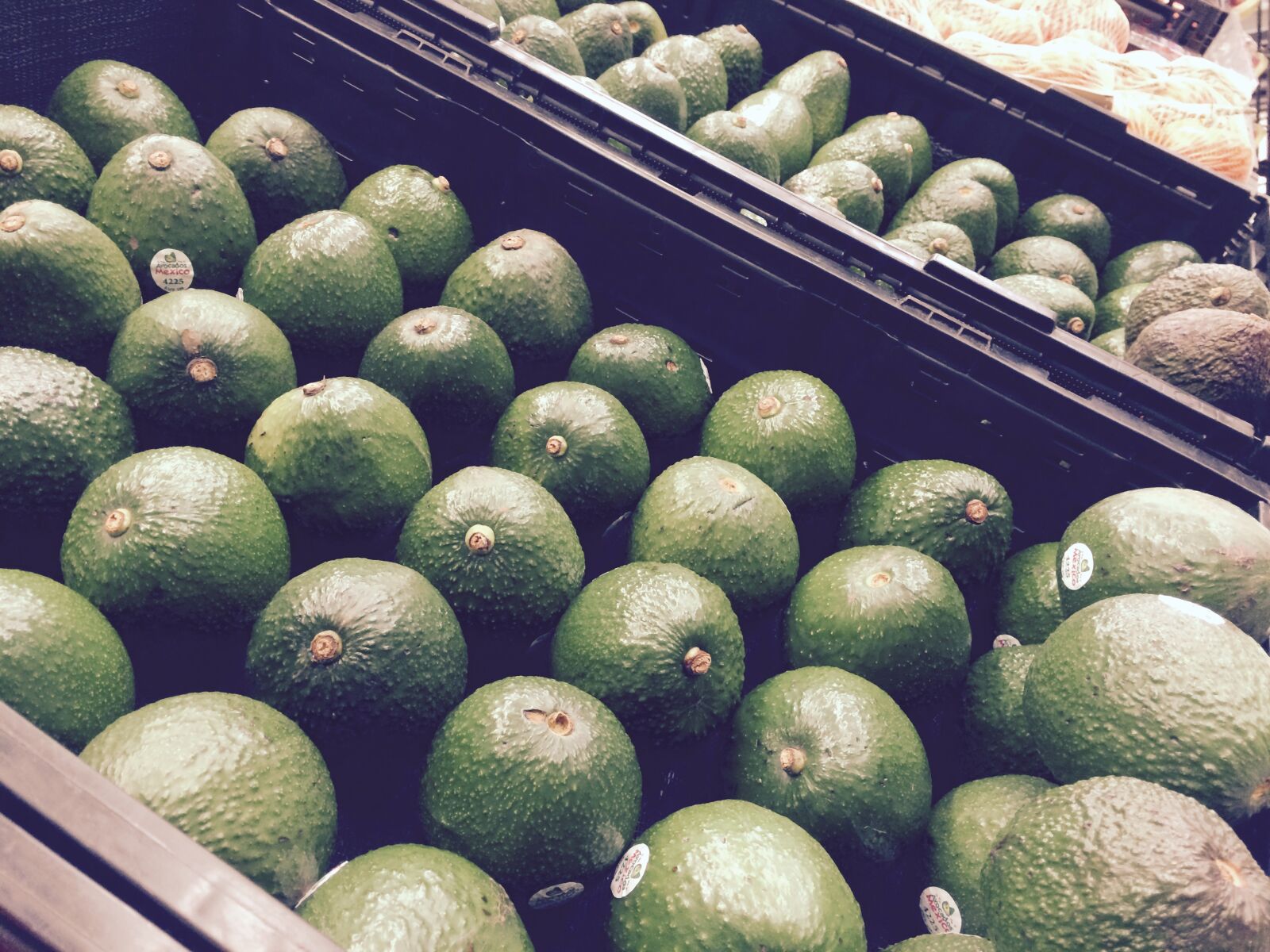 iPhone 5s back camera 4.15mm f/2.2 sample photo. Avocado, close, up, color photography