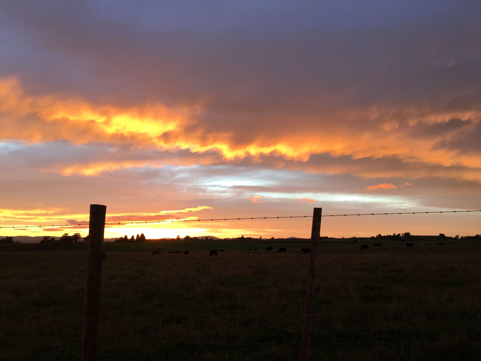 Apple iPhone 6s sample photo. Farm, fence, sunrise photography