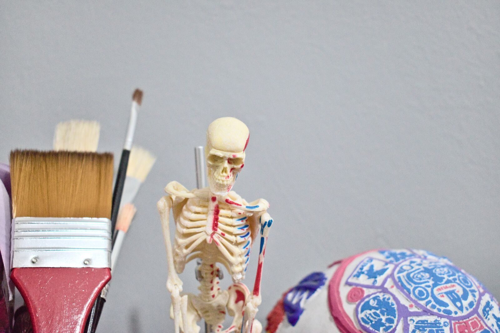 Nikon D5600 sample photo. Skeleton, skull, skulls photography