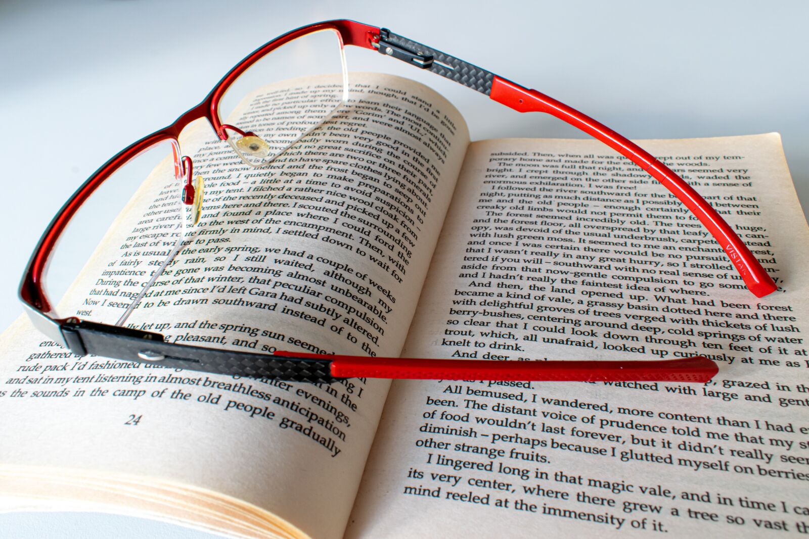 Nikon D5300 sample photo. Read, book, glasses photography