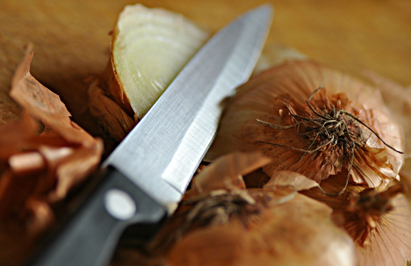 Nikon D90 sample photo. Onion, vegetable, food photography
