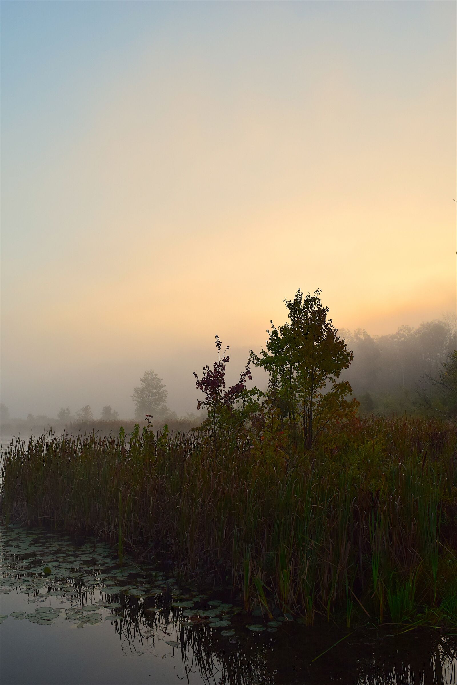 Nikon D3300 sample photo. Lake, mist, morning photography