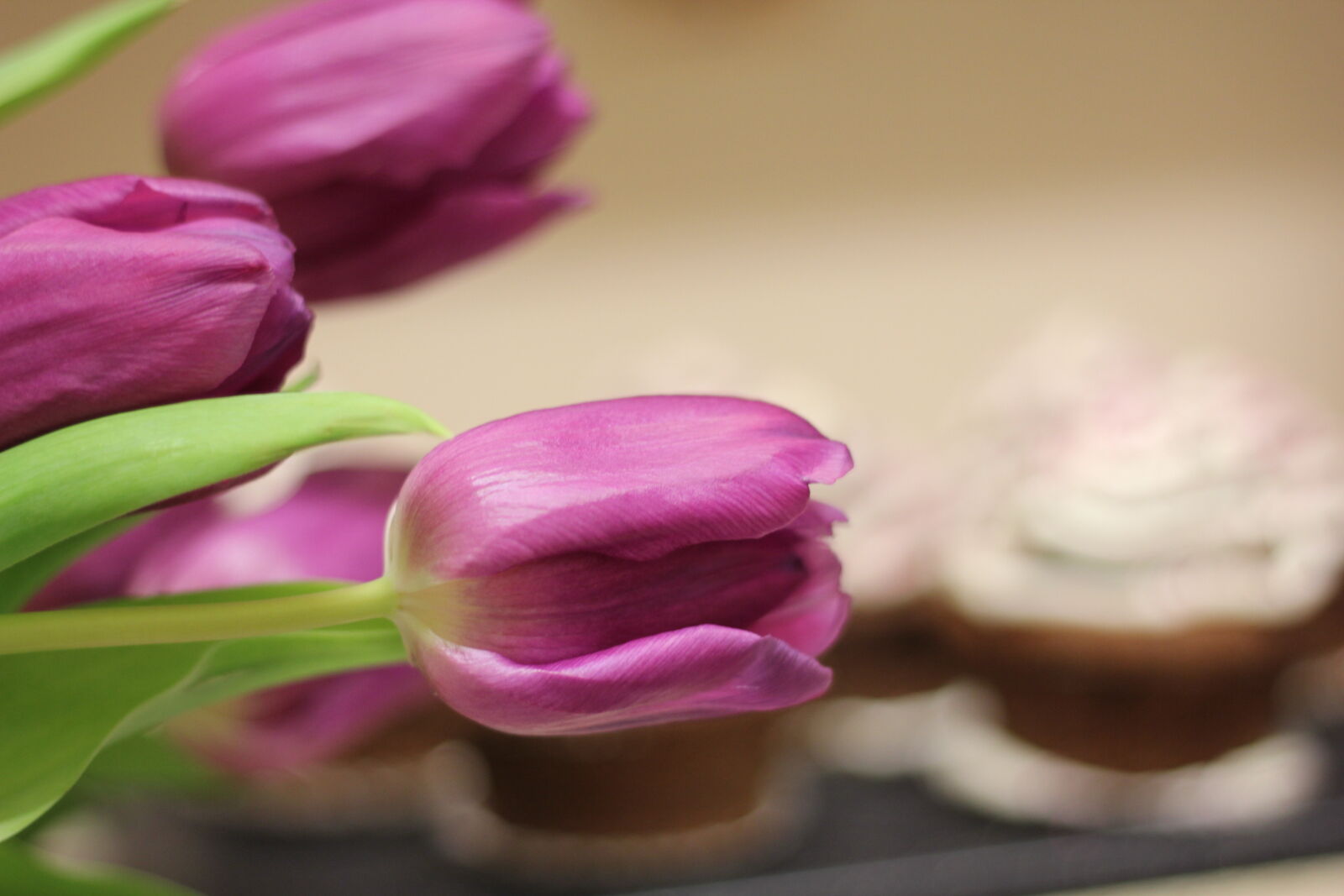 Canon EOS 550D (EOS Rebel T2i / EOS Kiss X4) sample photo. Birthday, cake, clebration, cookies photography