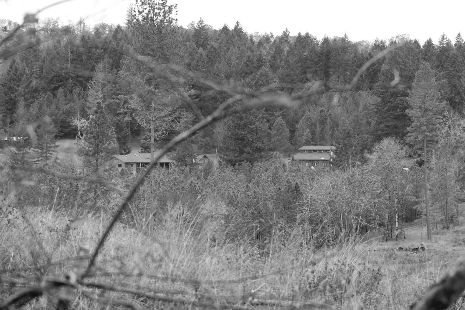 Canon EF 75-300mm f/4-5.6 sample photo. Black, and, white, home photography