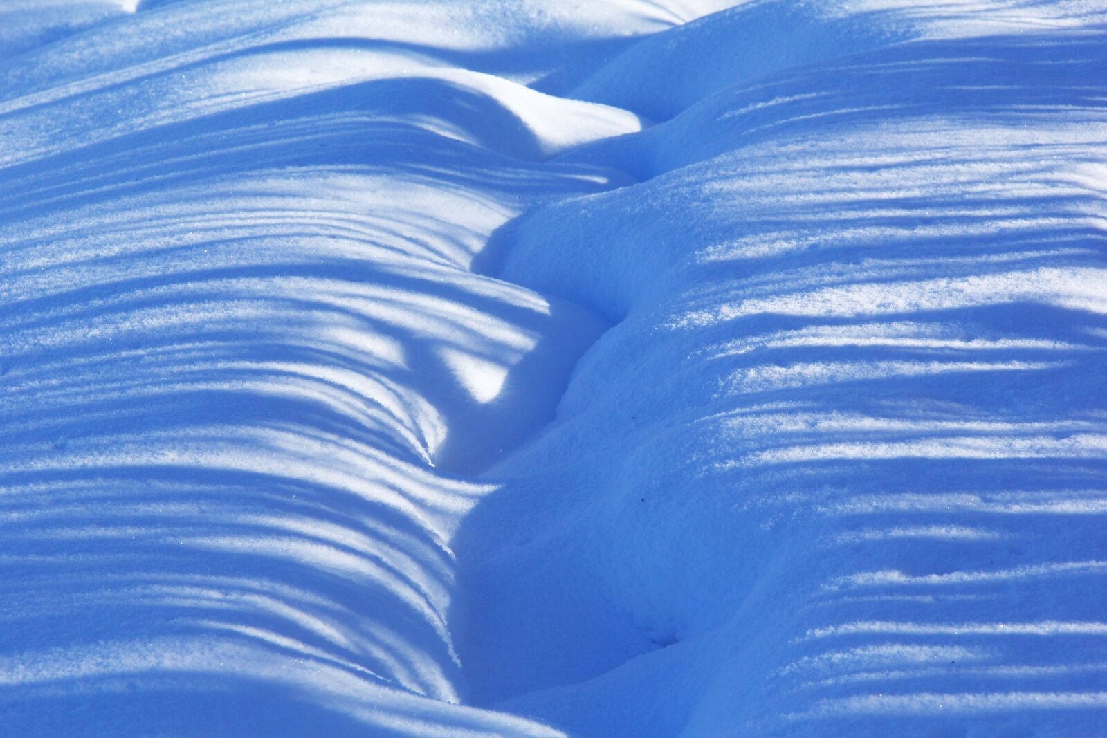 Canon EF-S 18-135mm F3.5-5.6 IS sample photo. Snow, light and shadow photography
