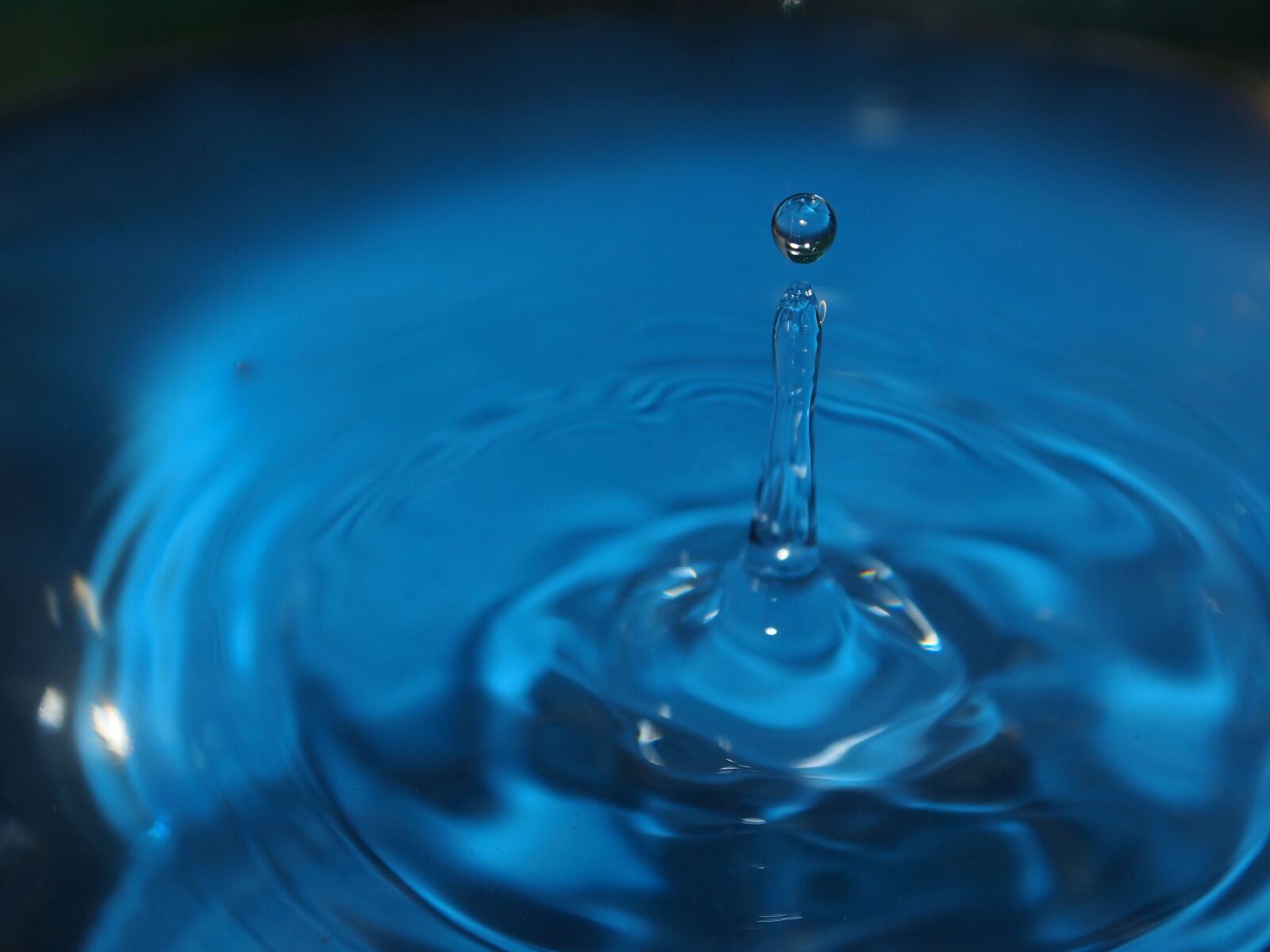 Olympus PEN E-PL1 sample photo. Blue, drip, drop, water photography