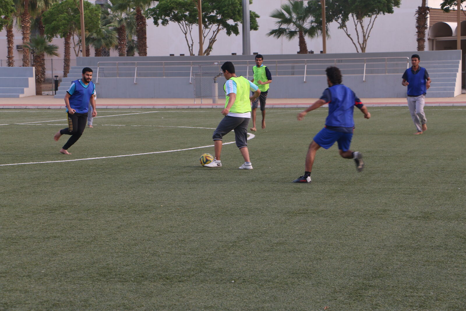 Canon EOS 70D sample photo
