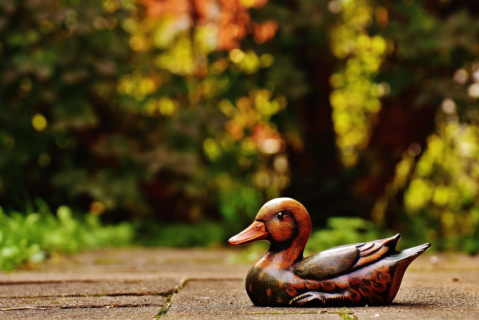 Nikon D7200 sample photo. Duck, deco, figure photography