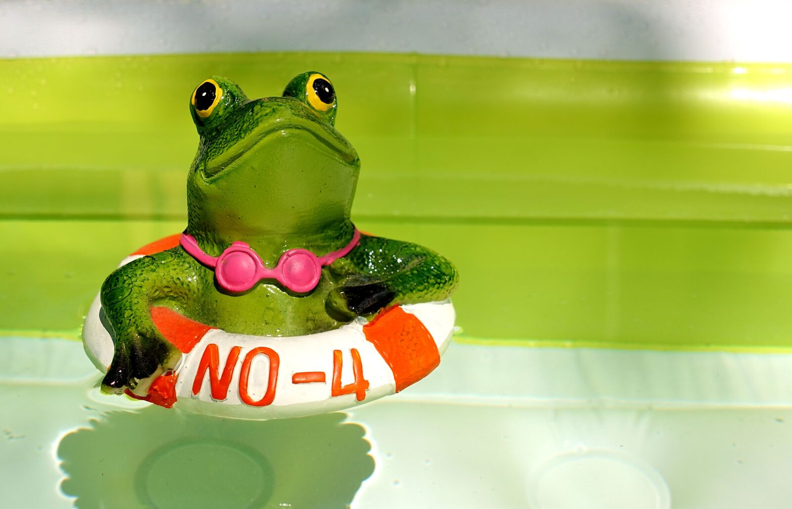 Sony DSC-RX100M5 sample photo. Frog, figure, swim photography
