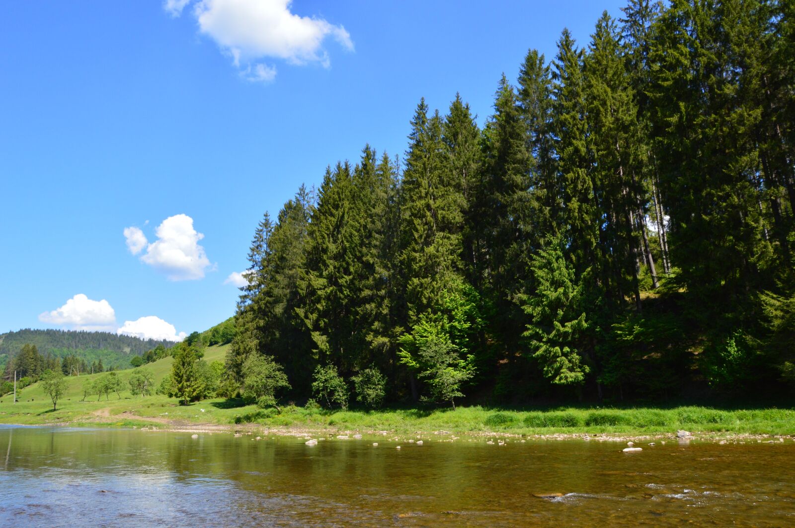Nikon D3200 sample photo. Nature, river, forest photography