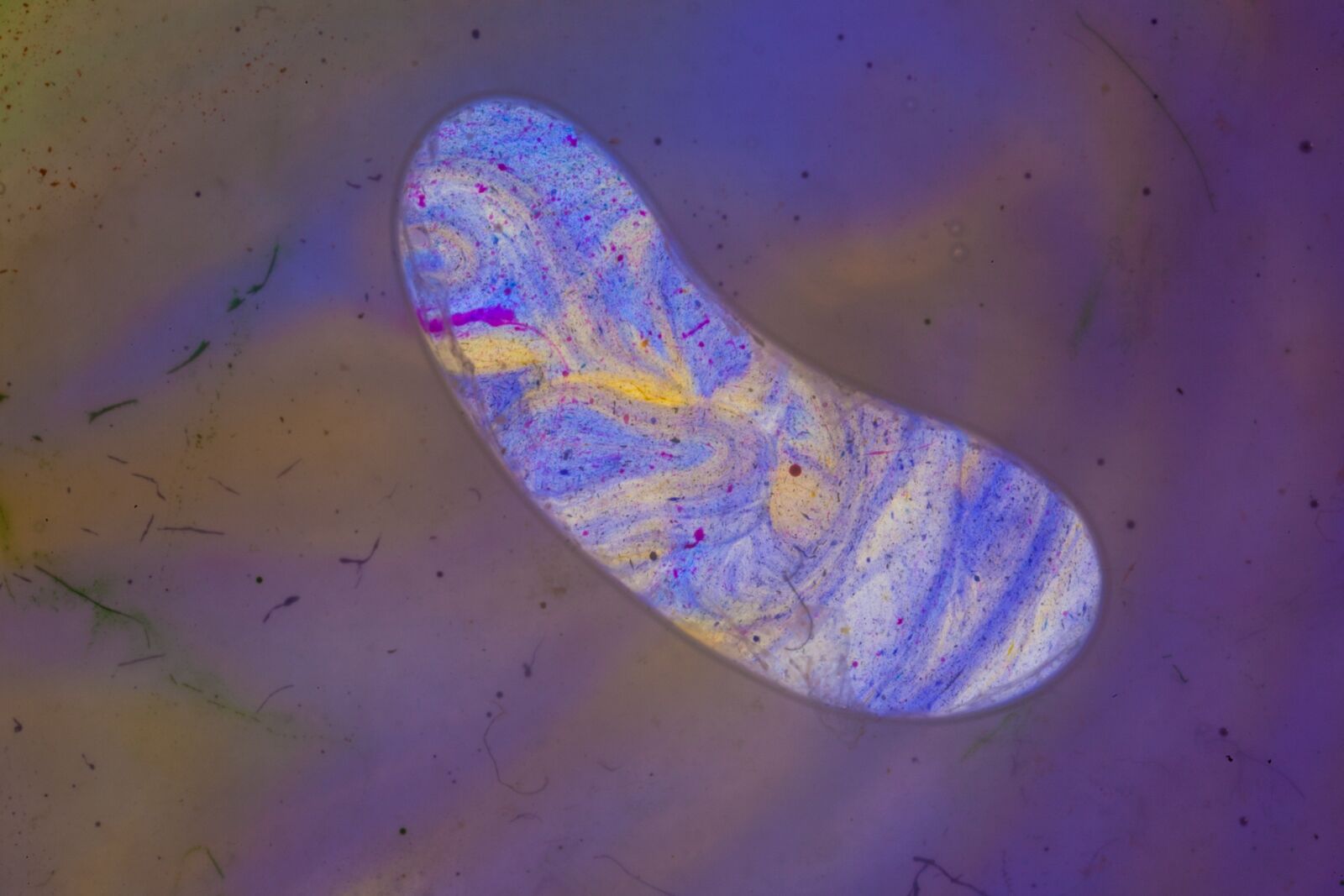 Canon EOS 5D sample photo. Art, bubbles, color photography