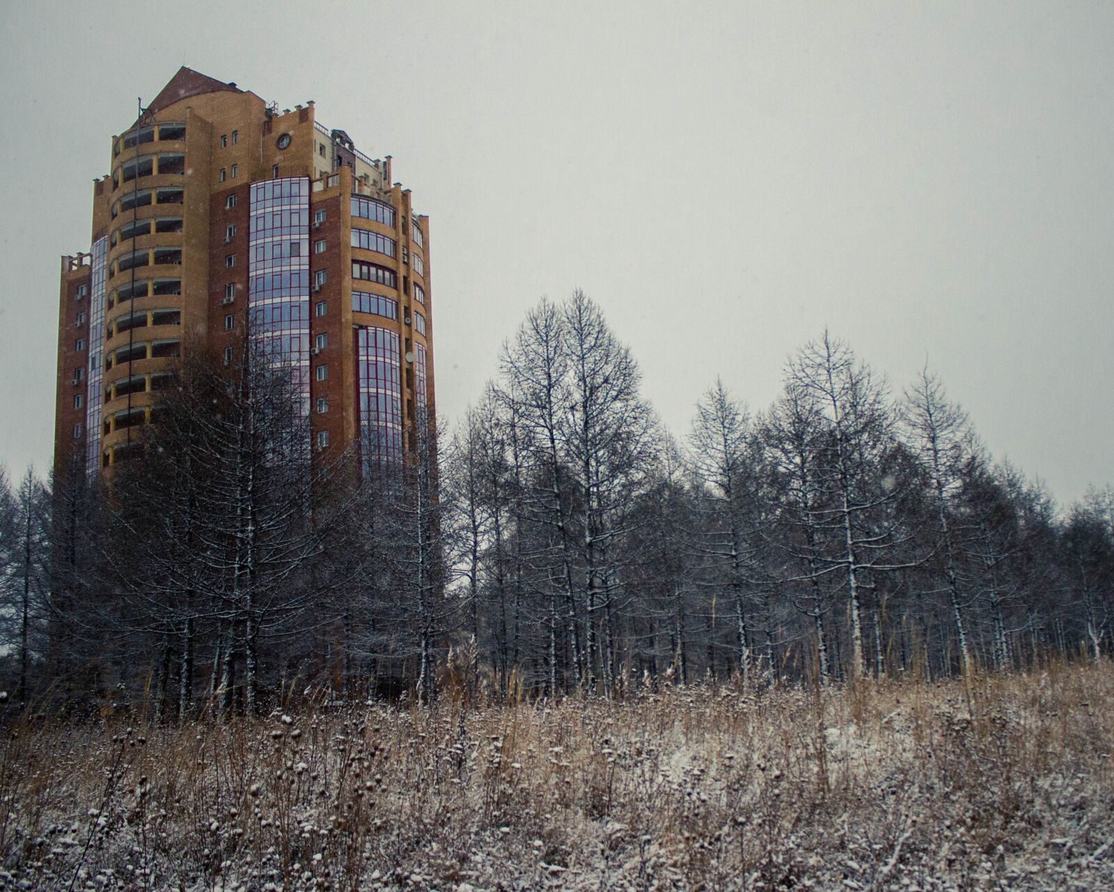 Canon EOS 600D (Rebel EOS T3i / EOS Kiss X5) sample photo. House, snow, cold photography