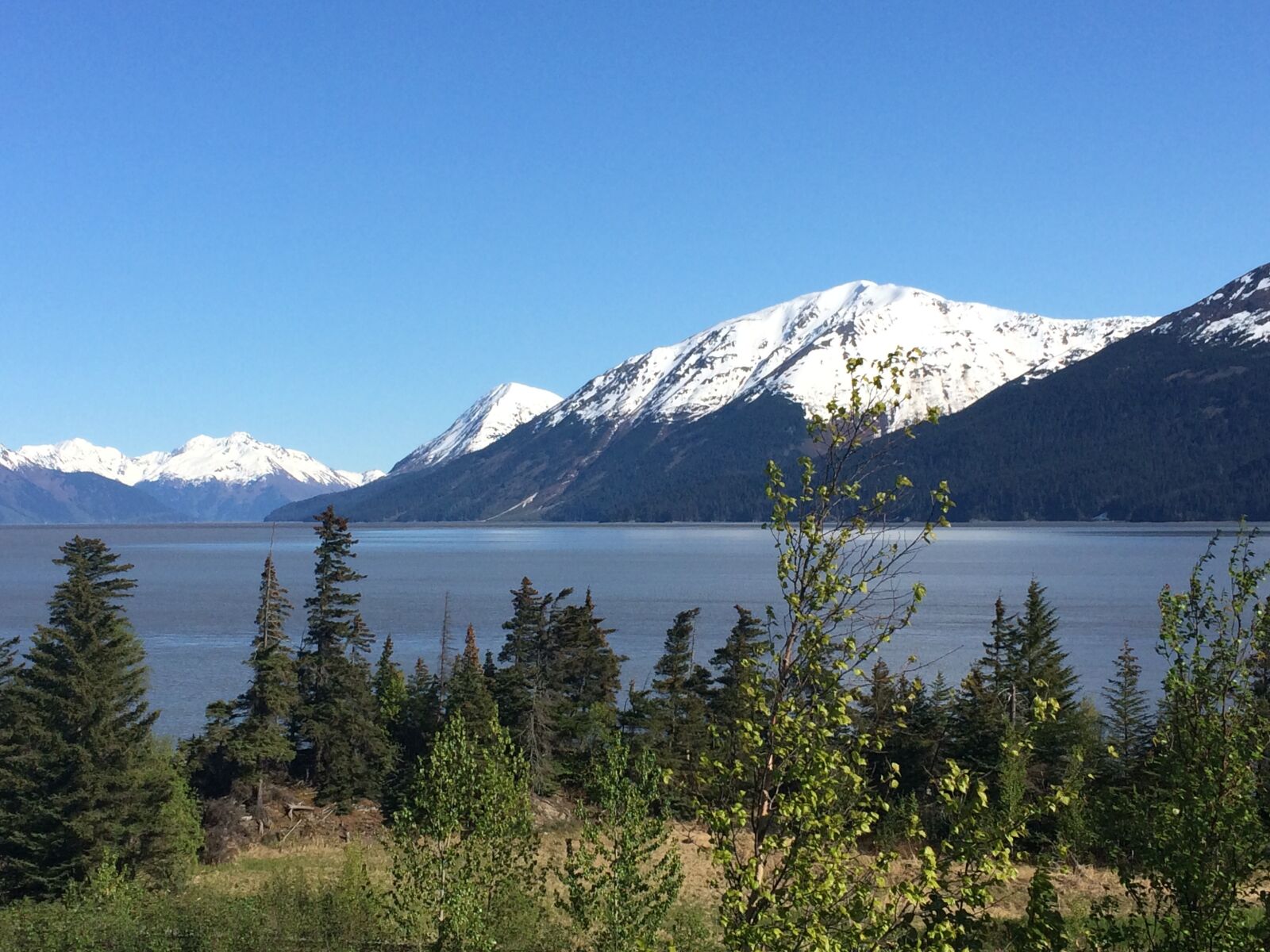 iPhone 5s back camera 4.15mm f/2.2 sample photo. Alaska, bird point, mountain photography