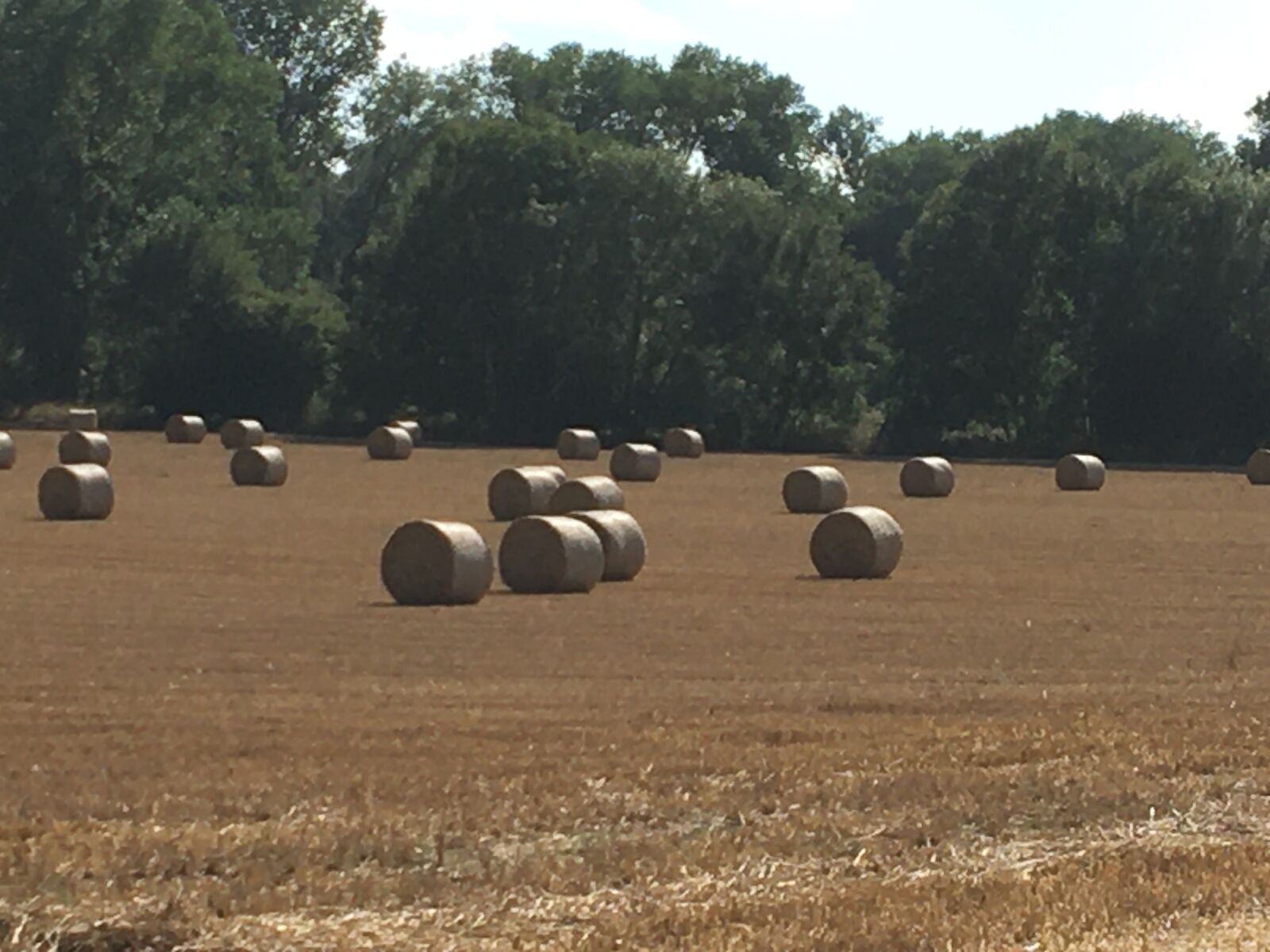 iPhone 6s back camera 4.15mm f/2.2 sample photo. Hay, summer, harvest photography